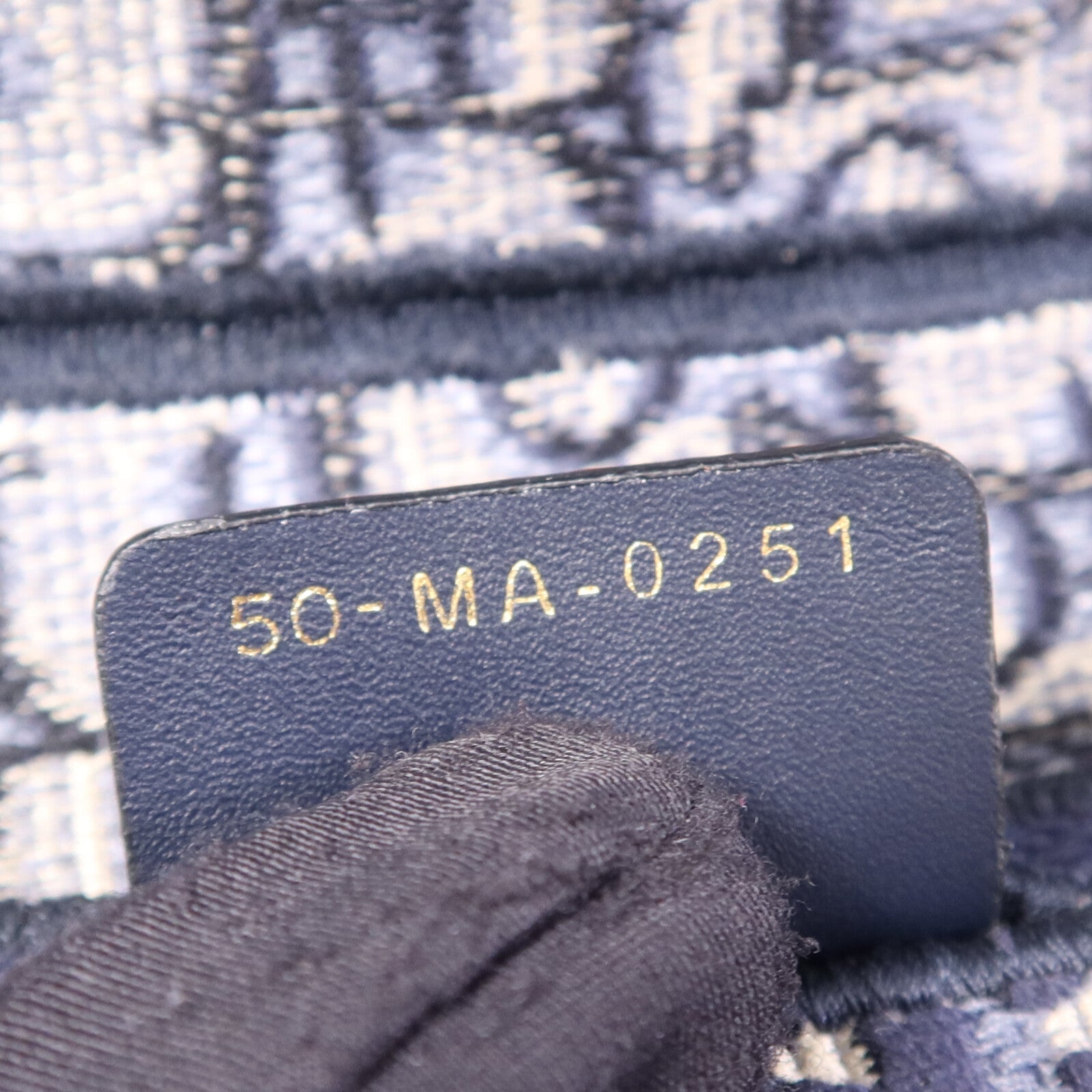 Dior 帆布Saddle Medium金扣肩背袋