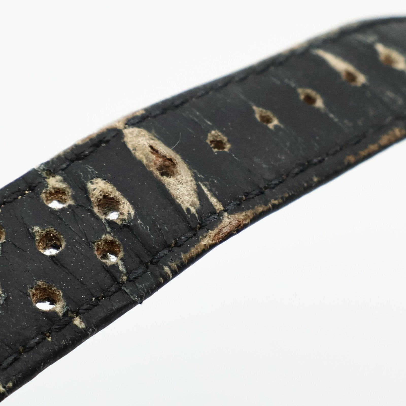 TAG HEUER Carrera GMT 1964 Re-edition WS2113