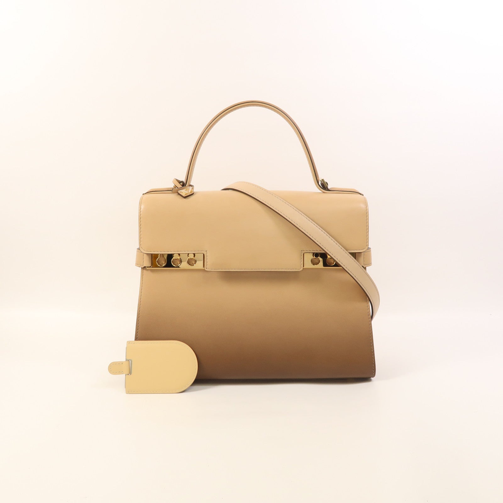 Delvaux 【激減優惠】牛皮皮革Tempete MM金扣手挽肩背兩用袋