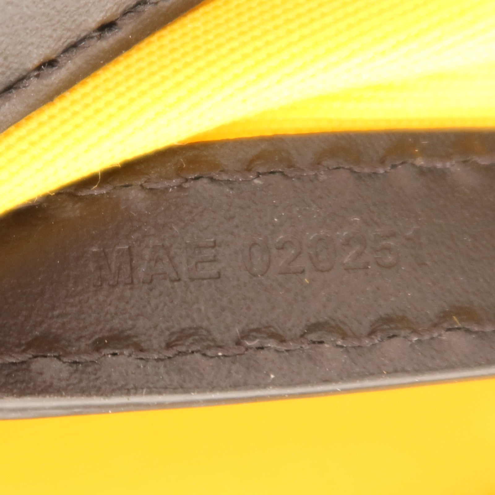 GOYARD 塗層帆布Sac Cap Vert銀扣肩背袋