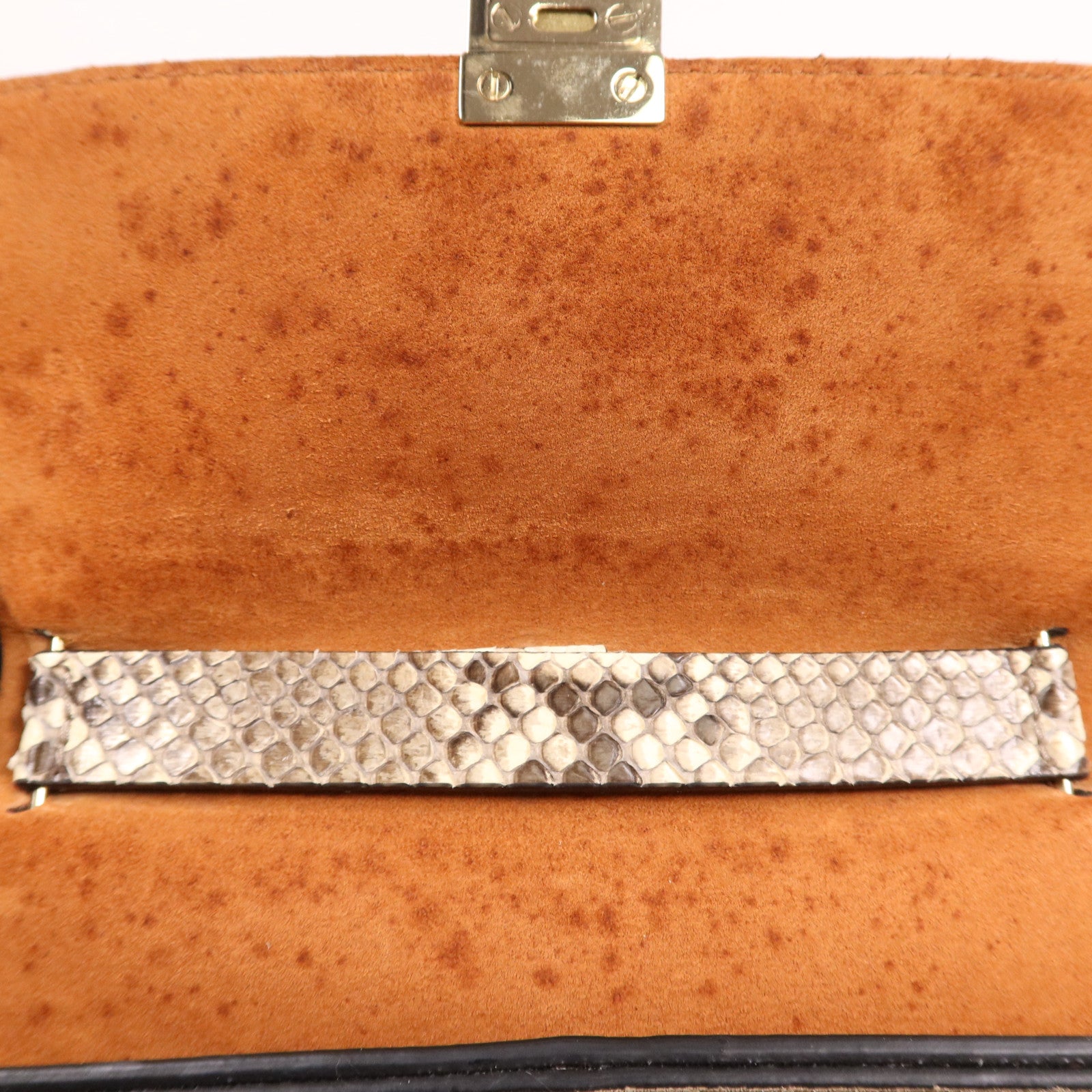 Chloe 牛皮/蛇皮皮革Drew Bag金扣鏈帶肩背袋