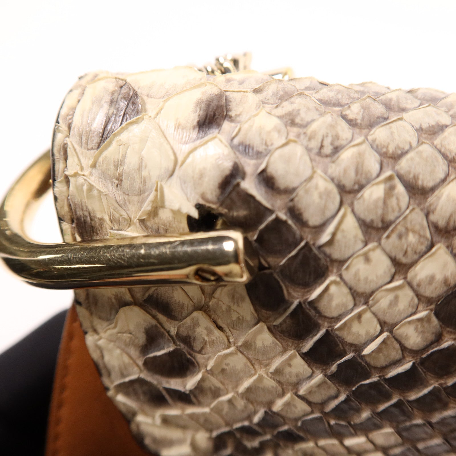 Chloe 牛皮/蛇皮皮革Drew Bag金扣鏈帶肩背袋