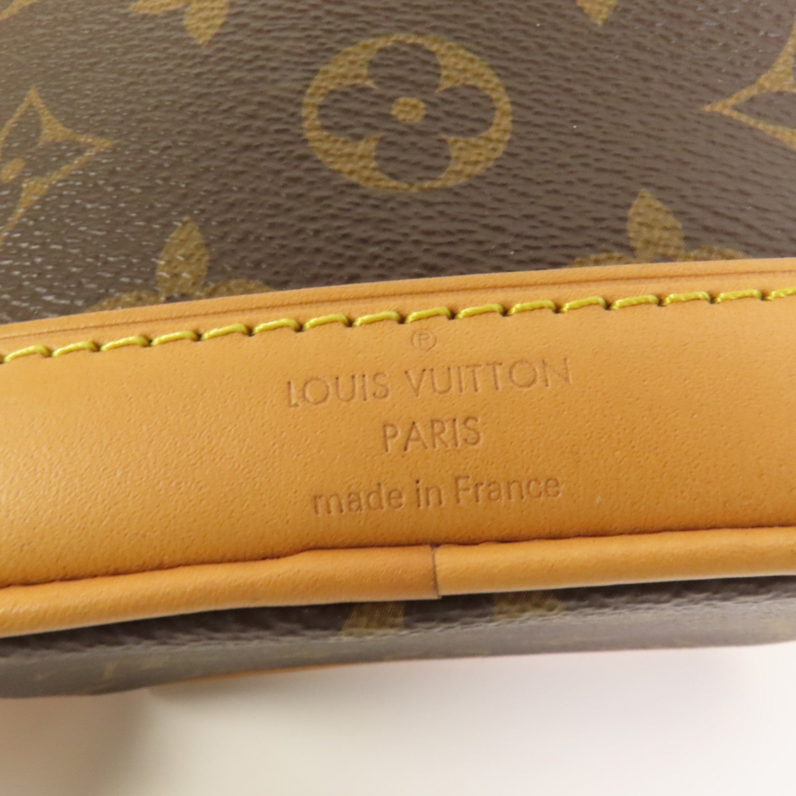 LOUIS VUITTON Monogram Nano Noe金扣手挽肩背兩用袋