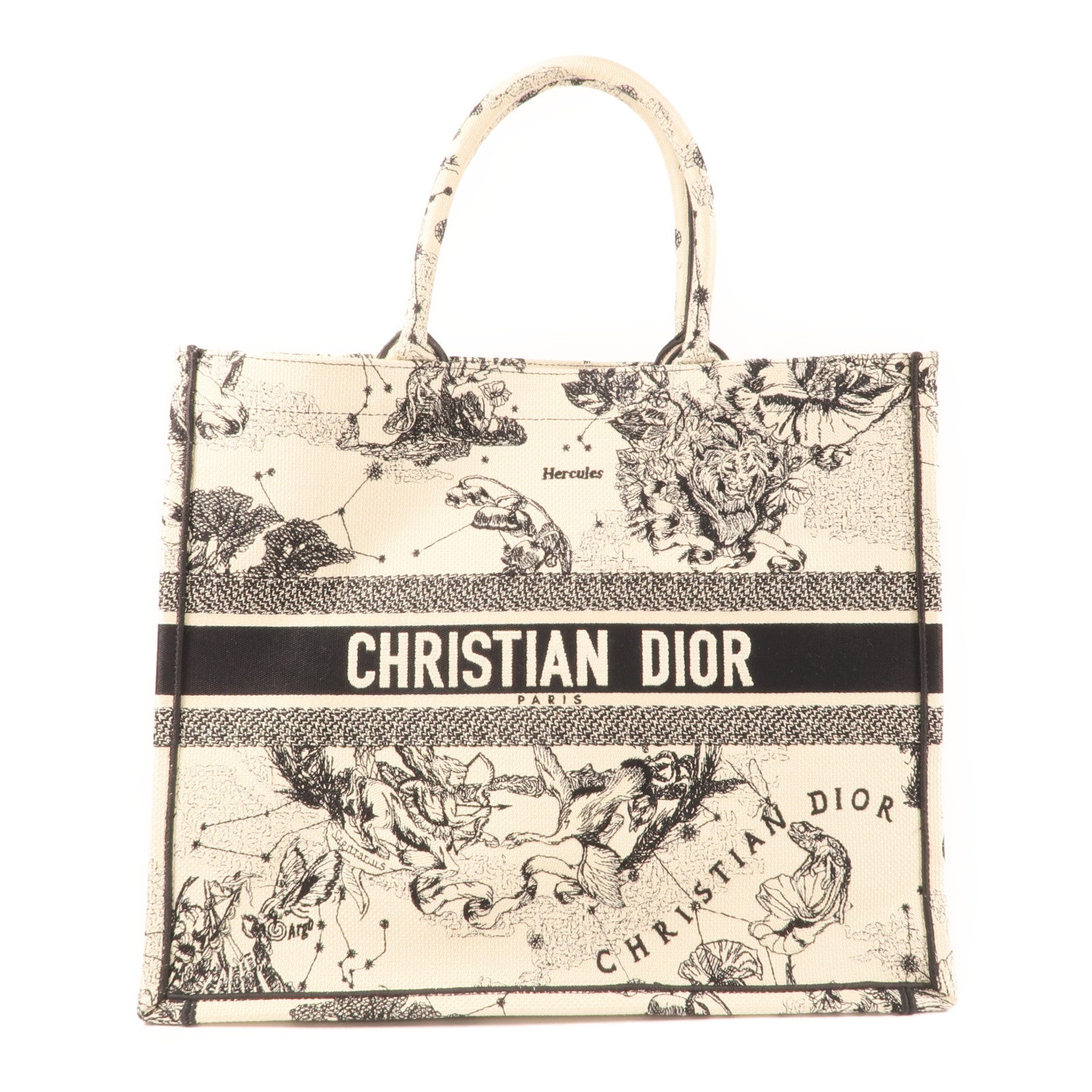 Dior 帆布Book Tote Large肩背袋