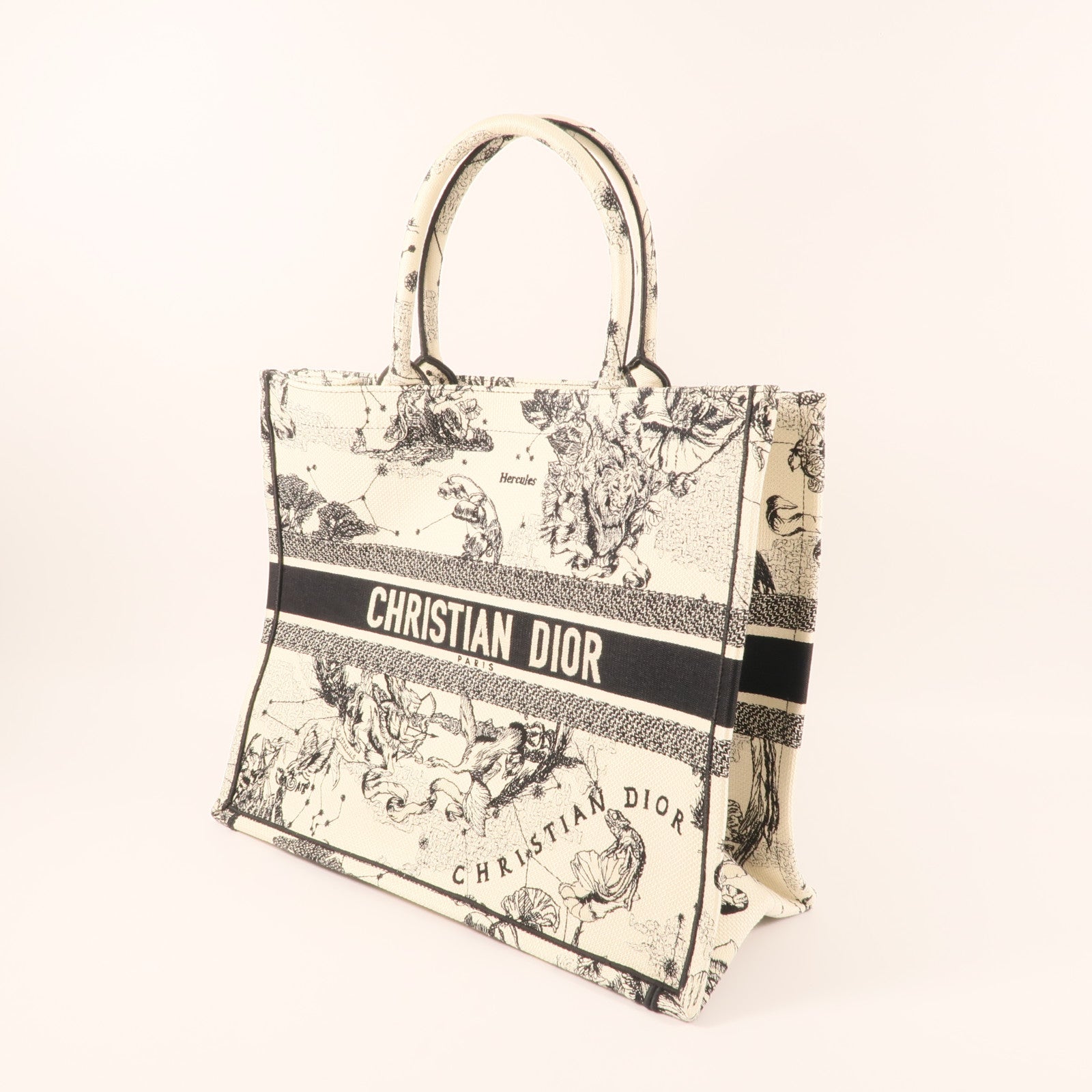 Dior 帆布Book Tote Large肩背袋