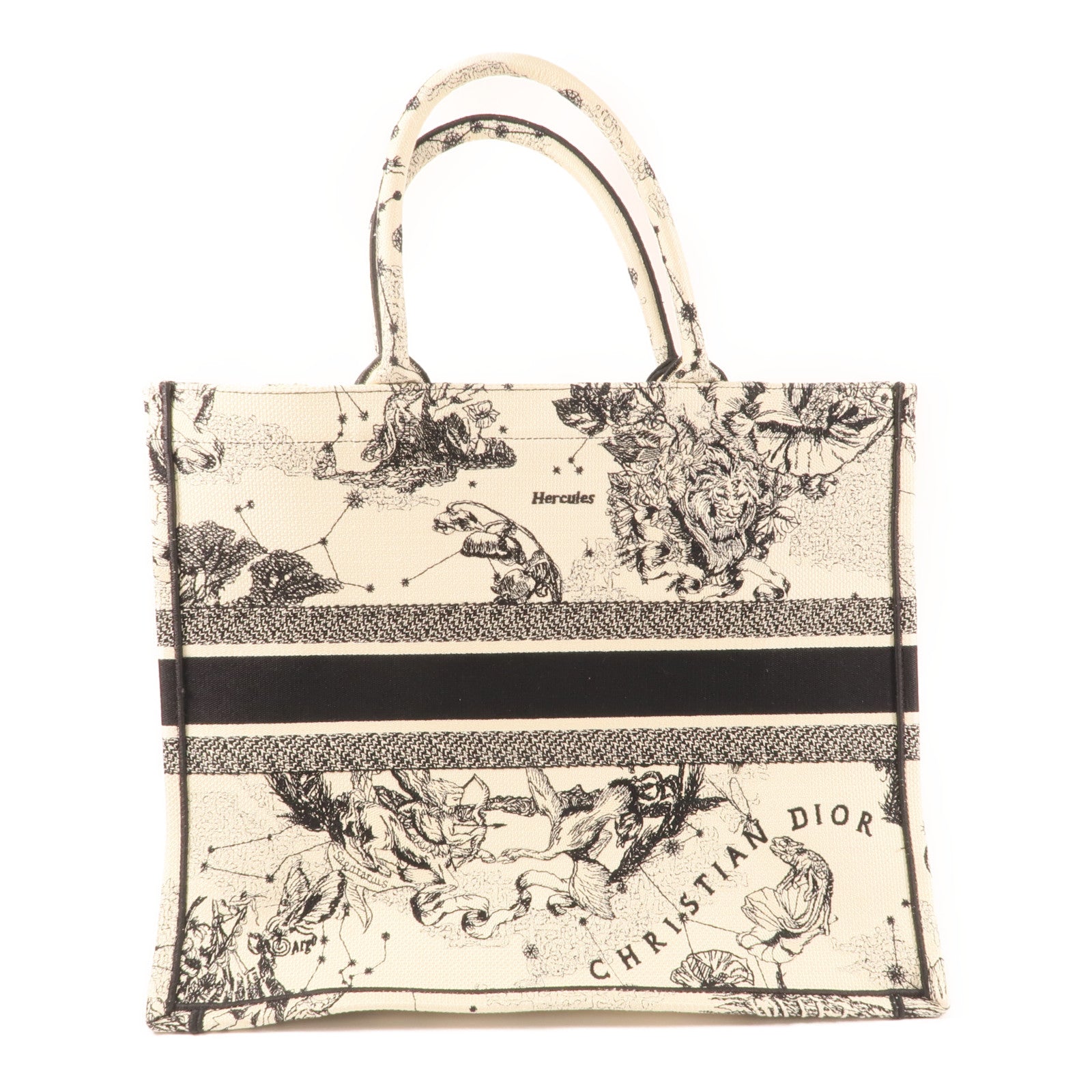 Dior 帆布Book Tote Large肩背袋