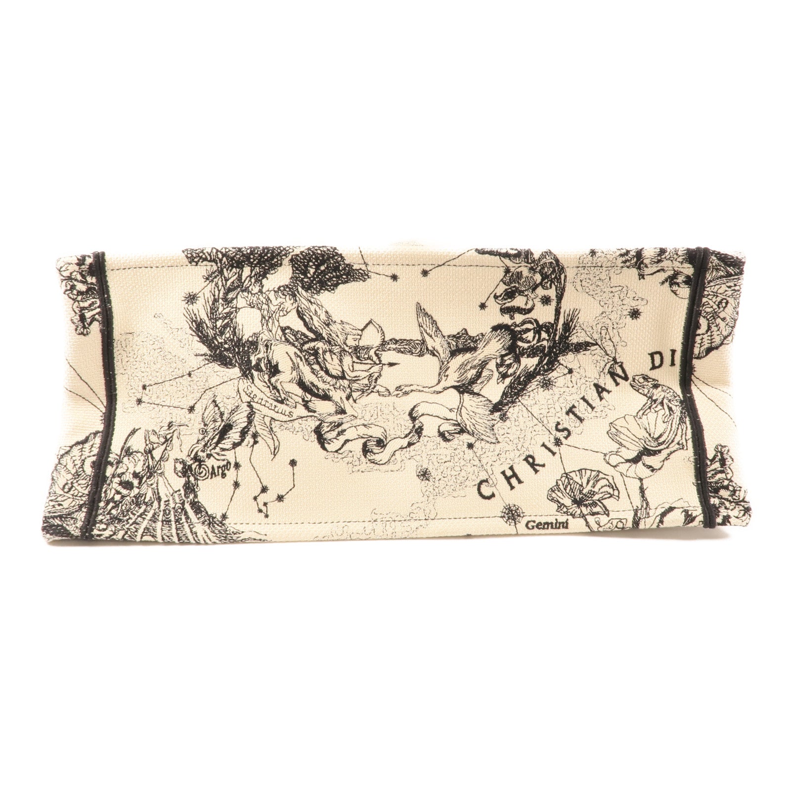 Dior 帆布Book Tote Large肩背袋