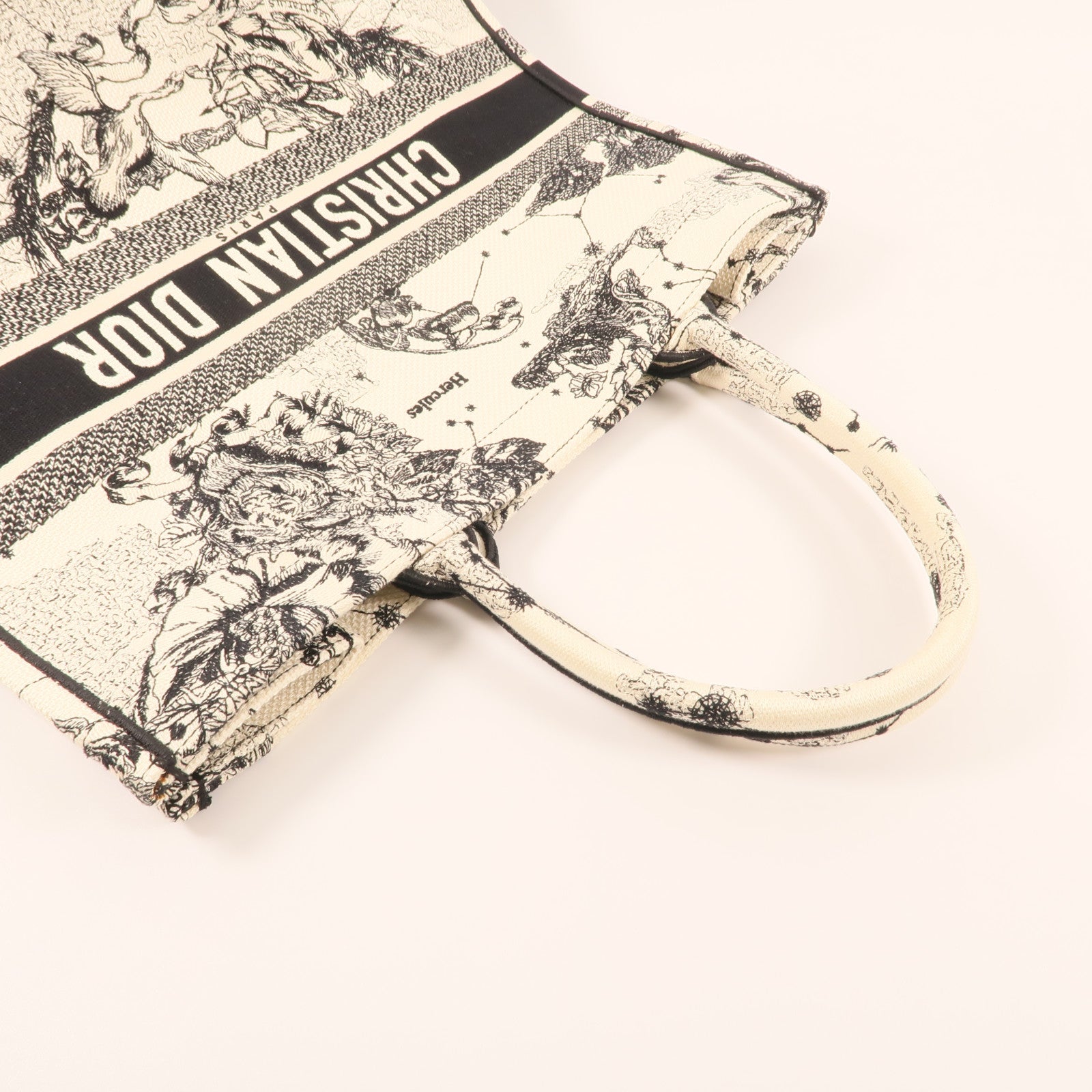 Dior 帆布Book Tote Large肩背袋