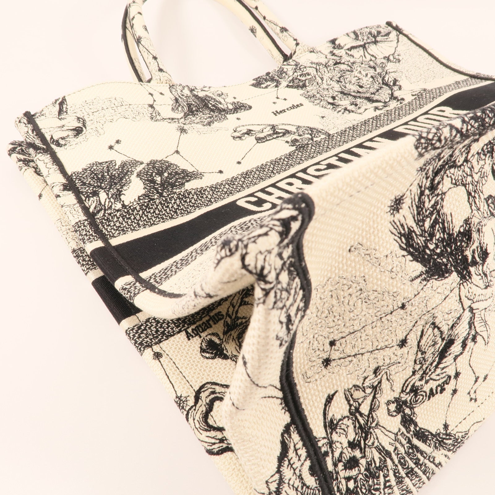 Dior 帆布Book Tote Large肩背袋