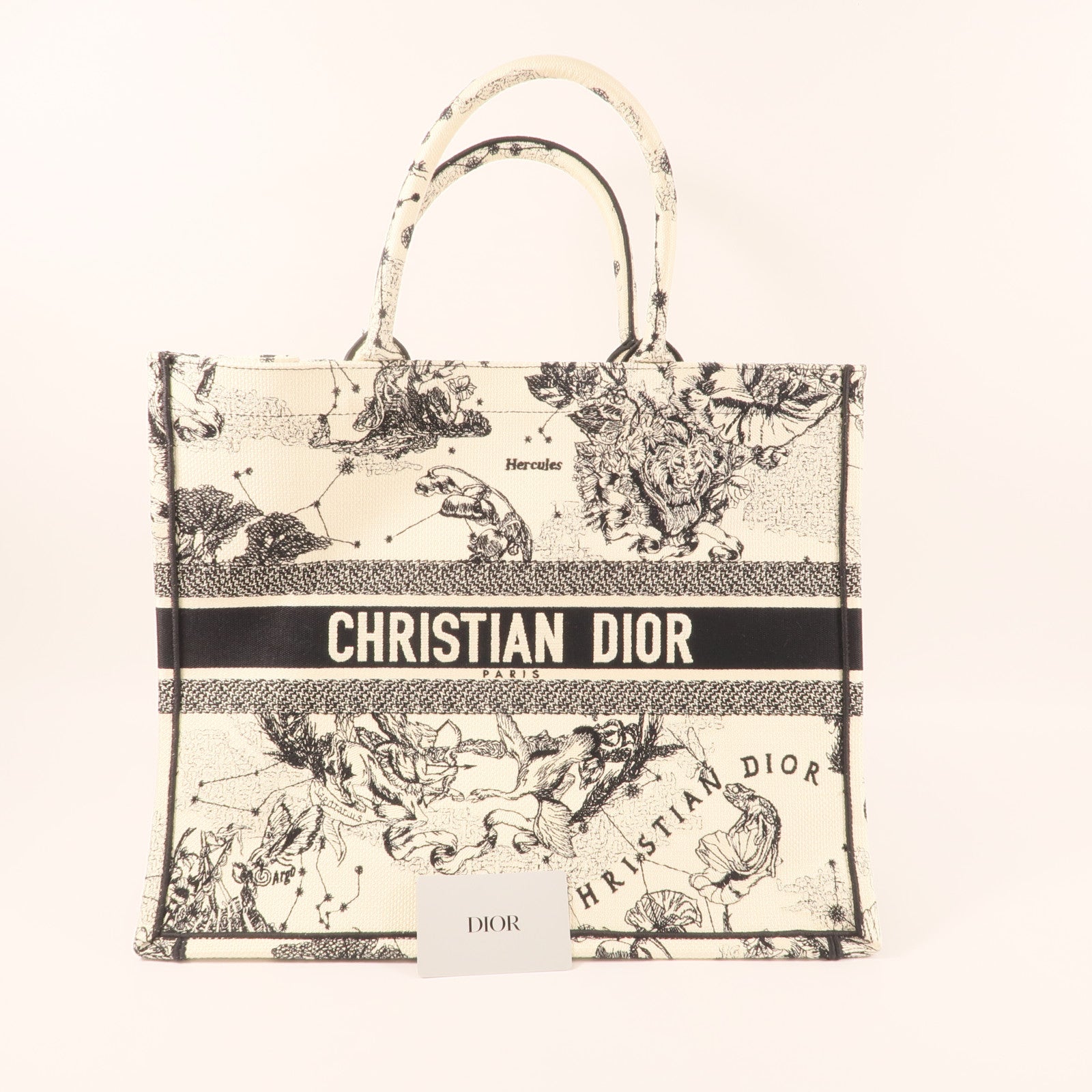 Dior 帆布Book Tote Large肩背袋
