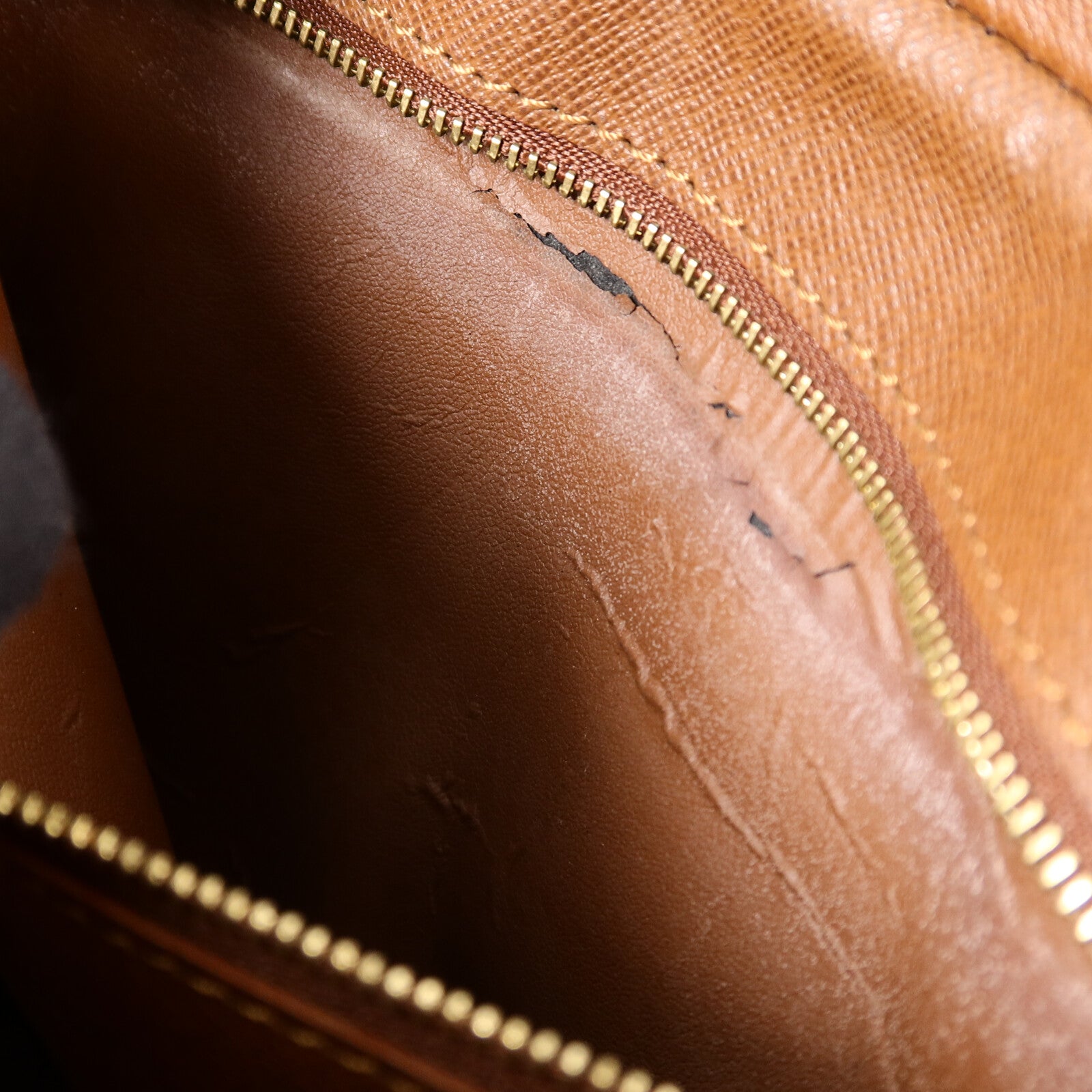 LOUIS VUITTON Monogram Marly Dragonne GM手拿包