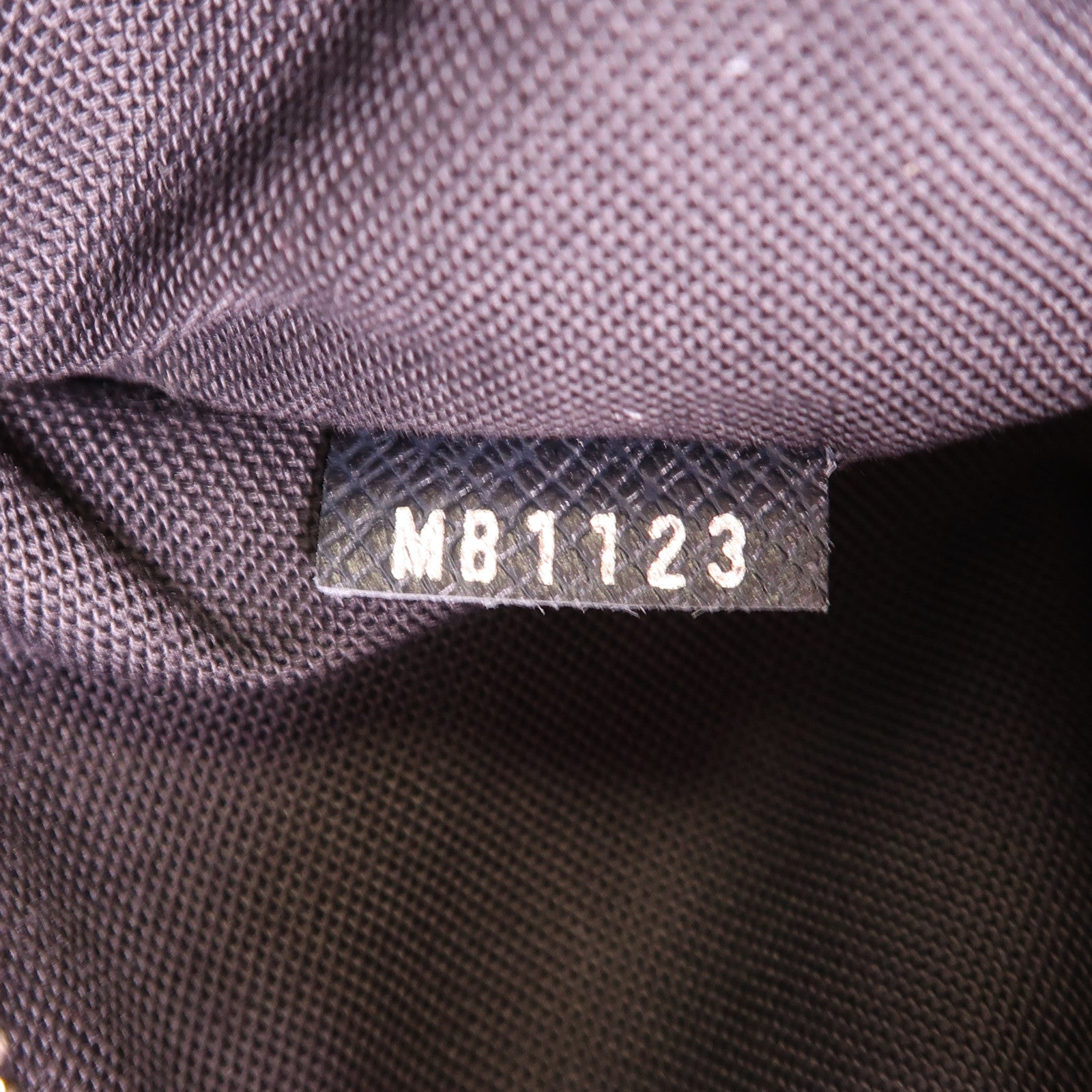 LOUIS VUITTON Taiga皮革Taiga Neo Kendall銀扣手挽肩背兩用袋