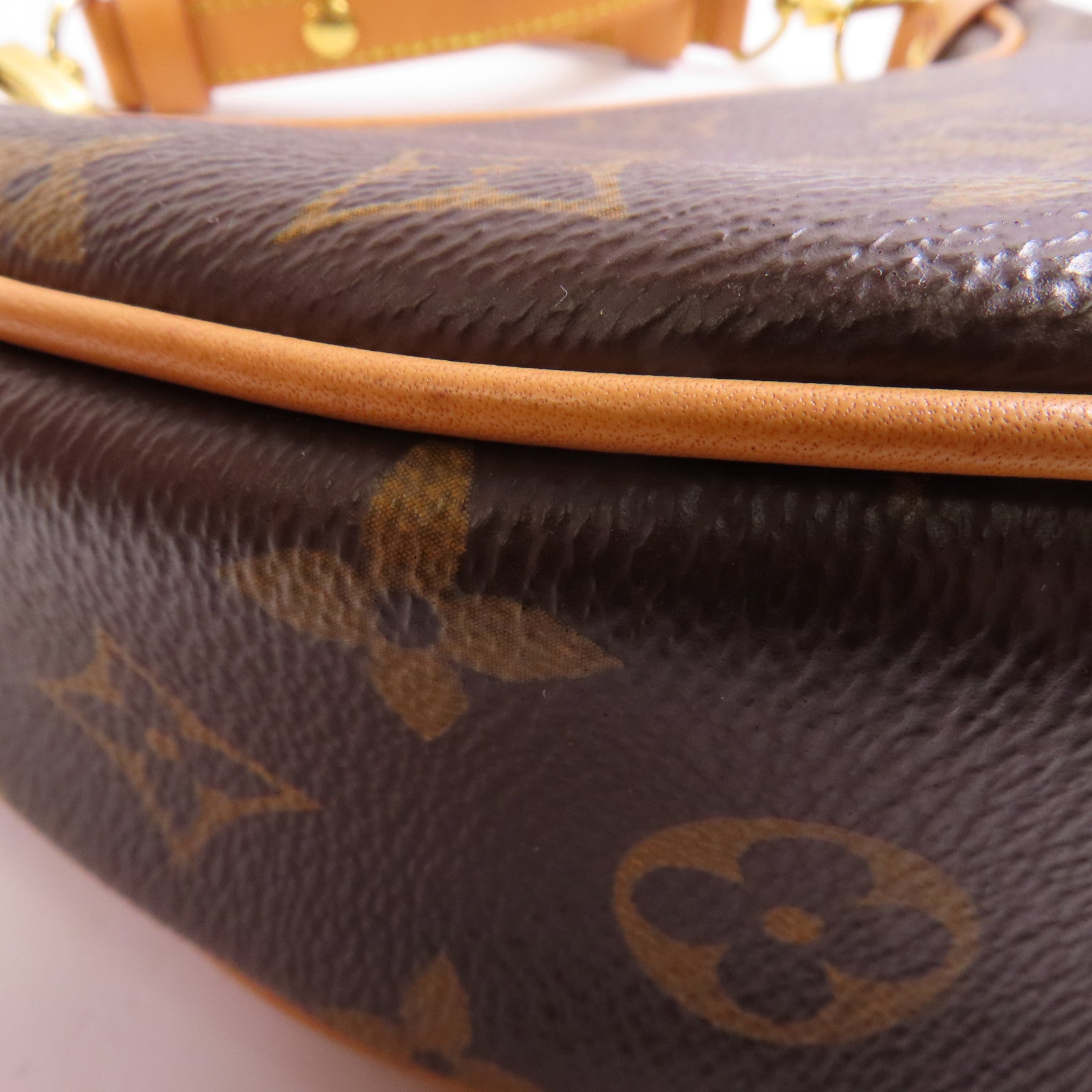 LOUIS VUITTON LV GHW Loop 2 Way Shoulder Bag M81098 Monogram Brown