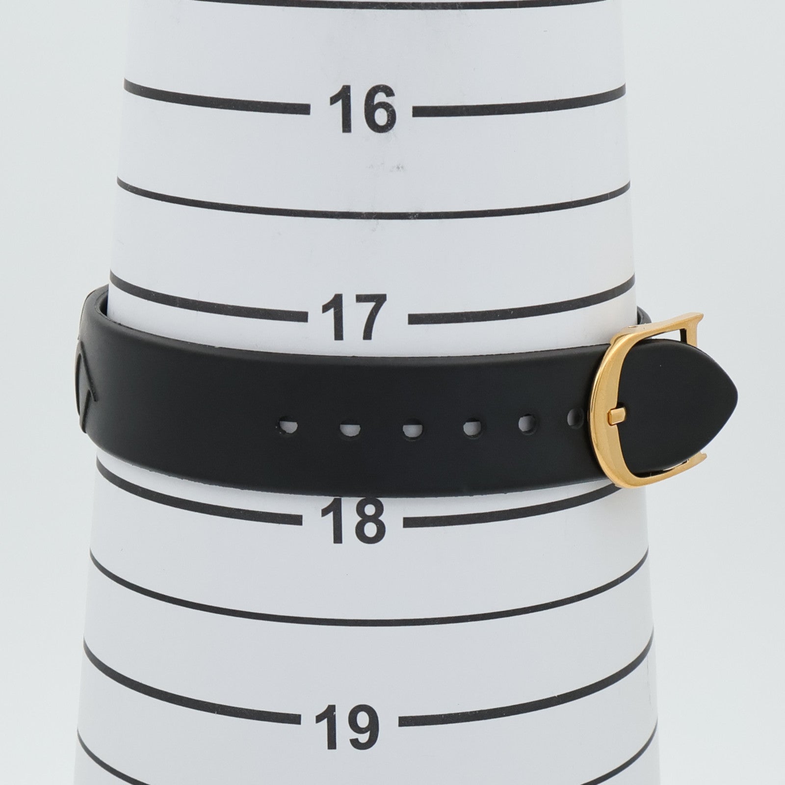 Dior Diorific Watch D102-150