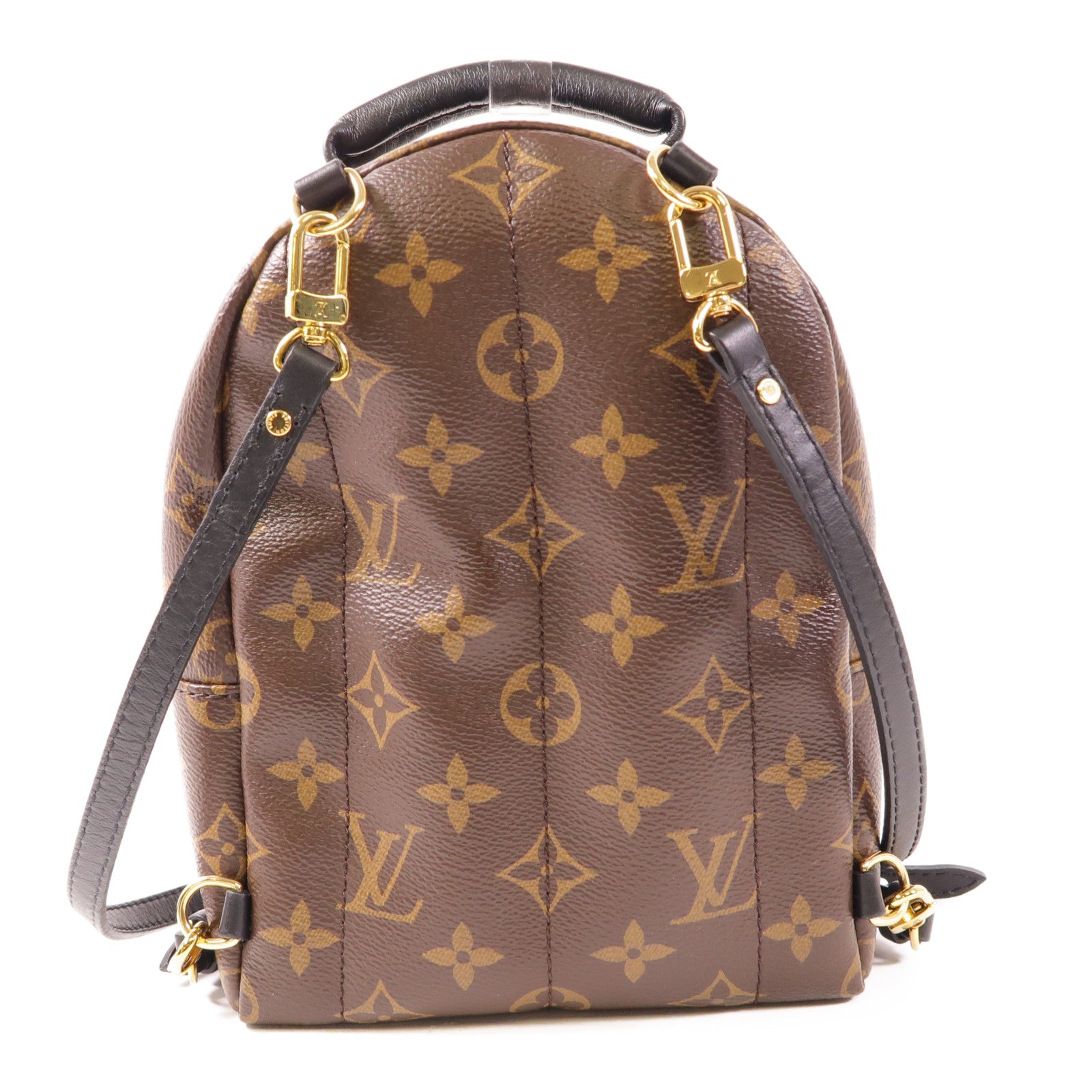 LOUIS VUITTON LV GHW Palm Spring Mini Backpack Monogram M44873 Brown