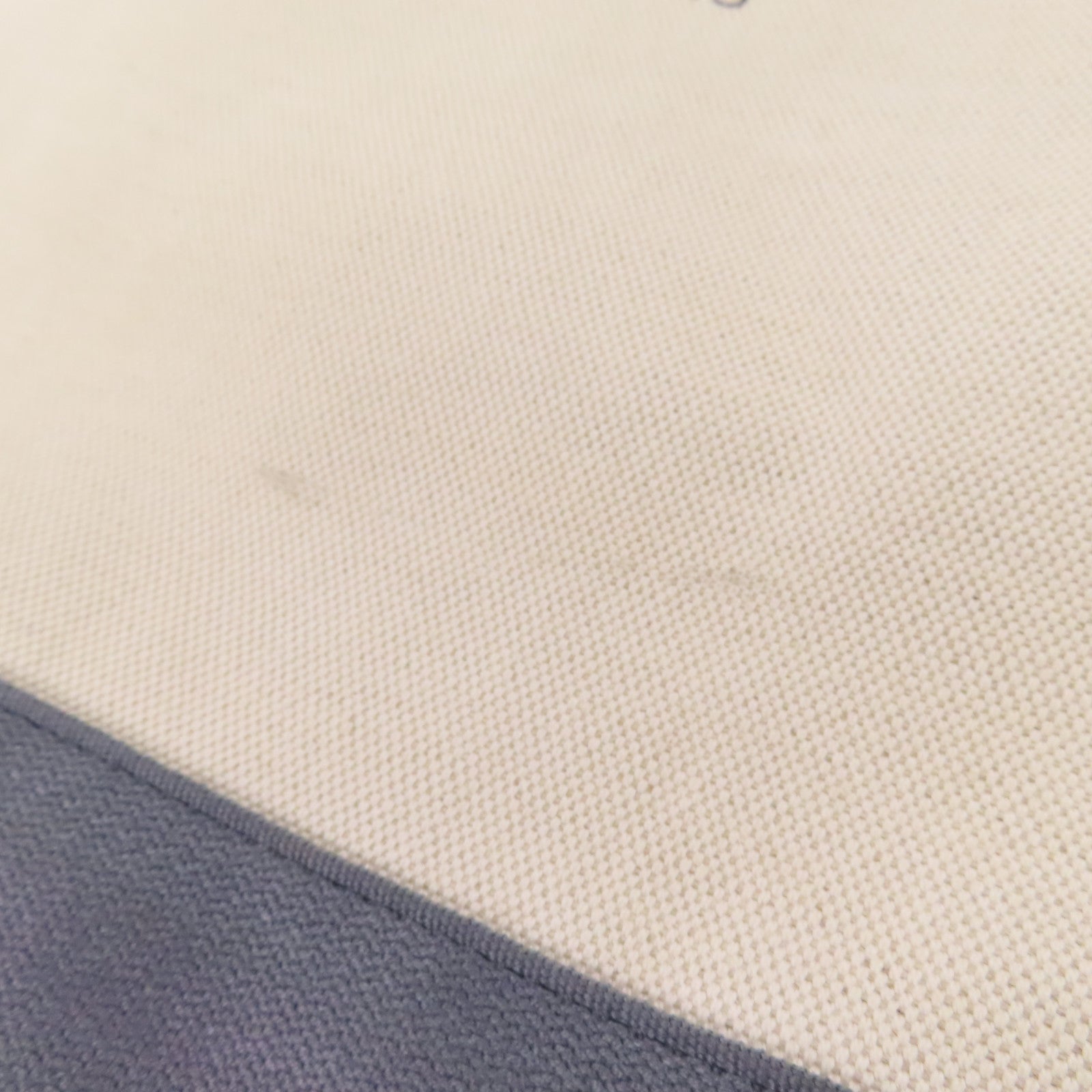 BALENCIAGA 帆布Cabas Bag銀扣手挽袋
