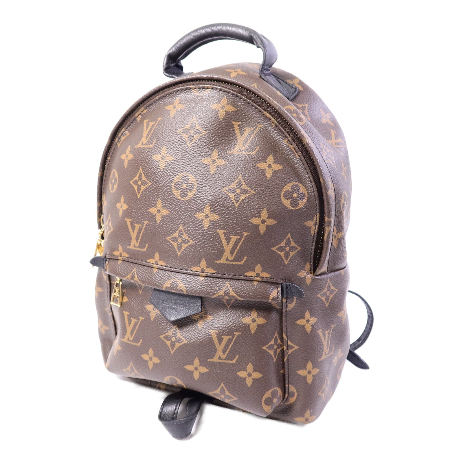 LOUIS VUITTON Monogram Palm Springs PM背包