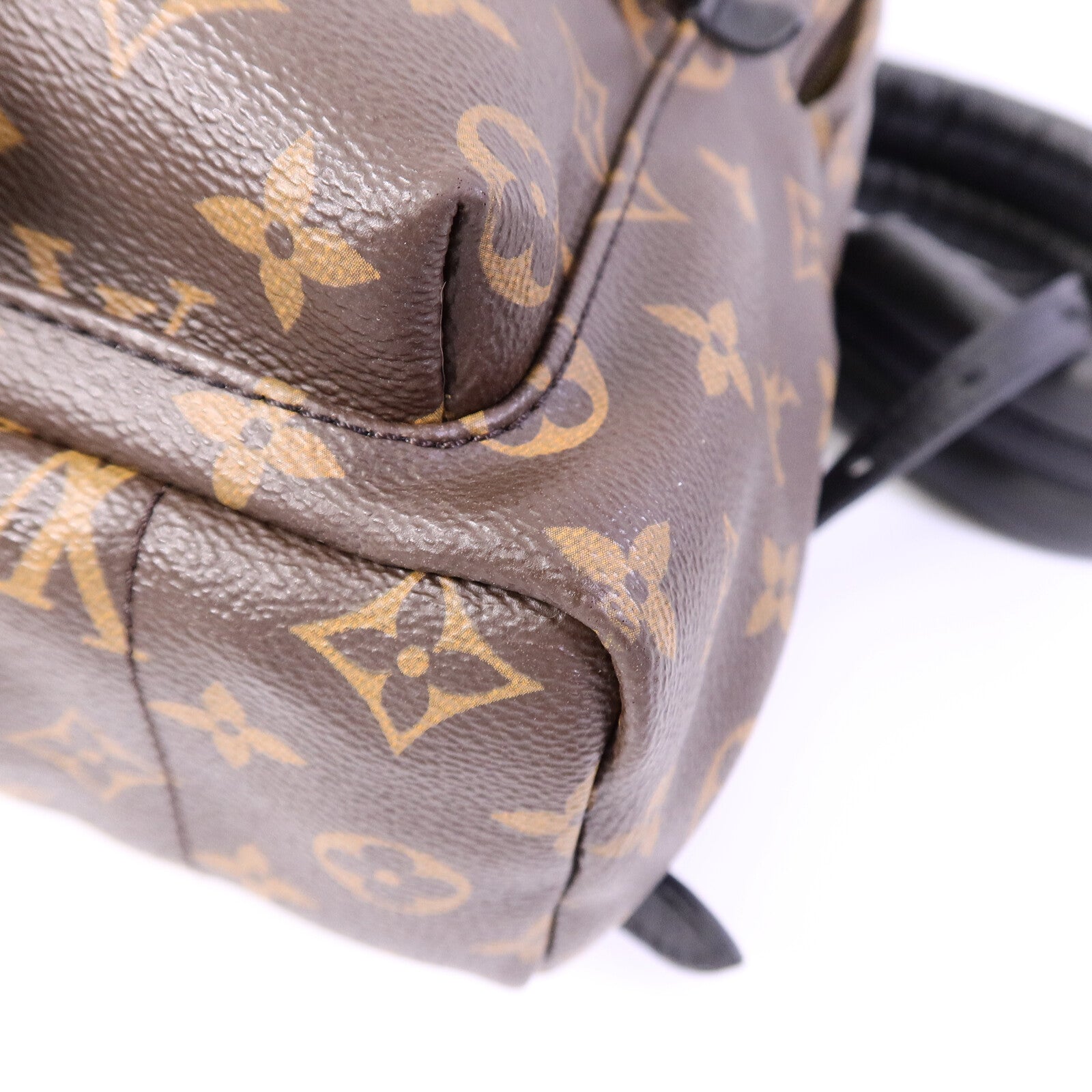LOUIS VUITTON Monogram Palm Springs PM背包