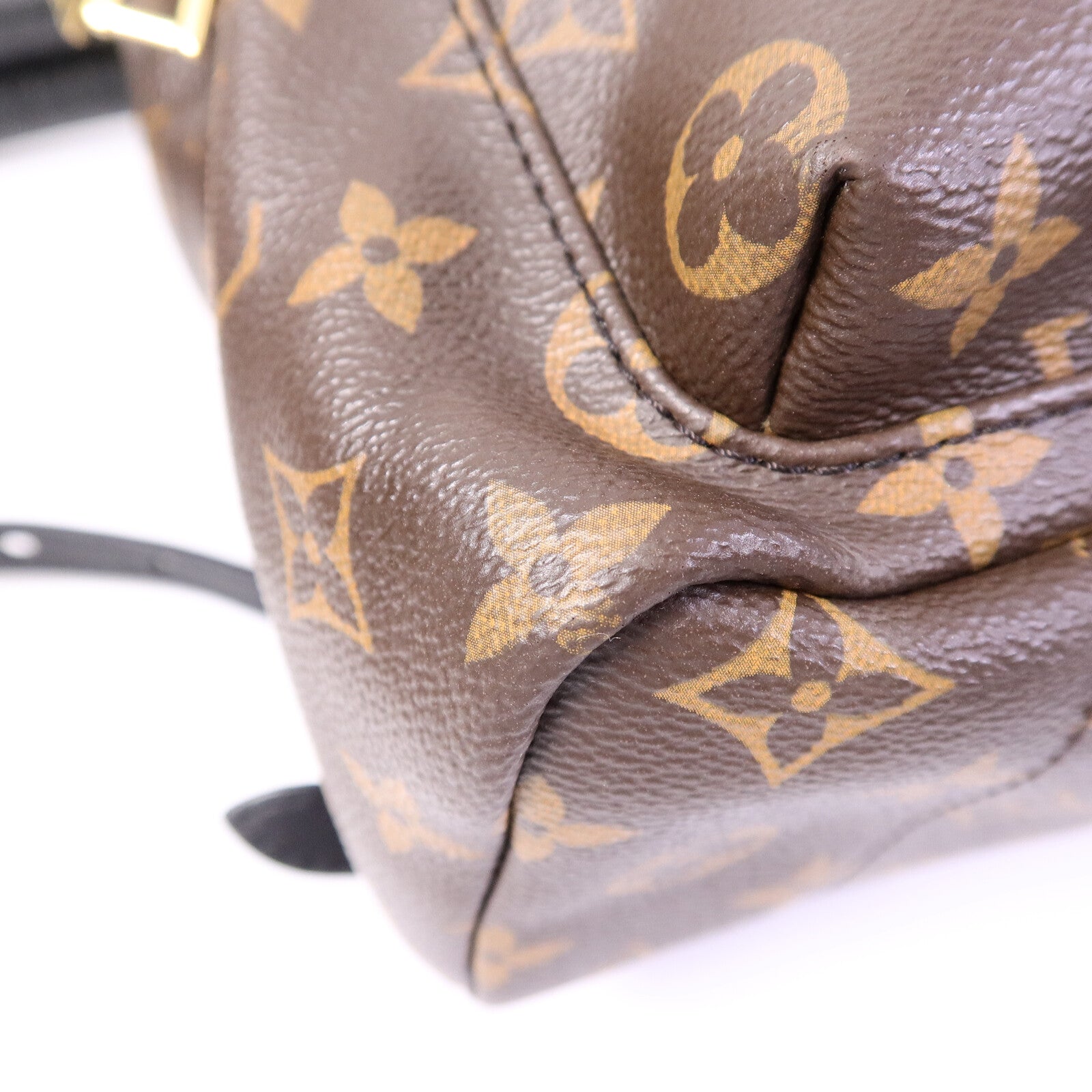 LOUIS VUITTON Monogram Palm Springs PM背包