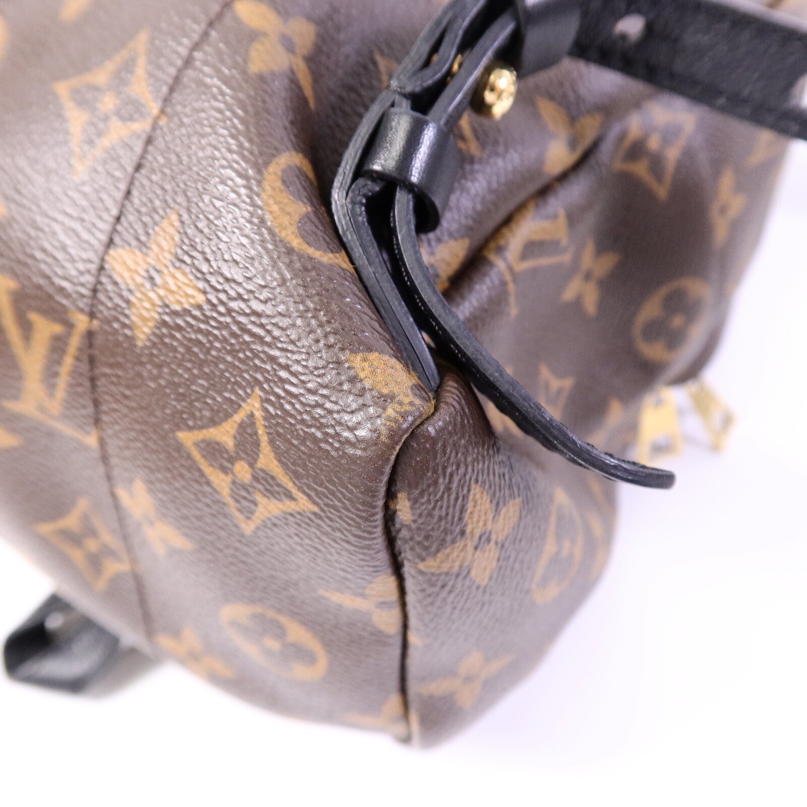 LOUIS VUITTON Monogram Palm Springs PM背包