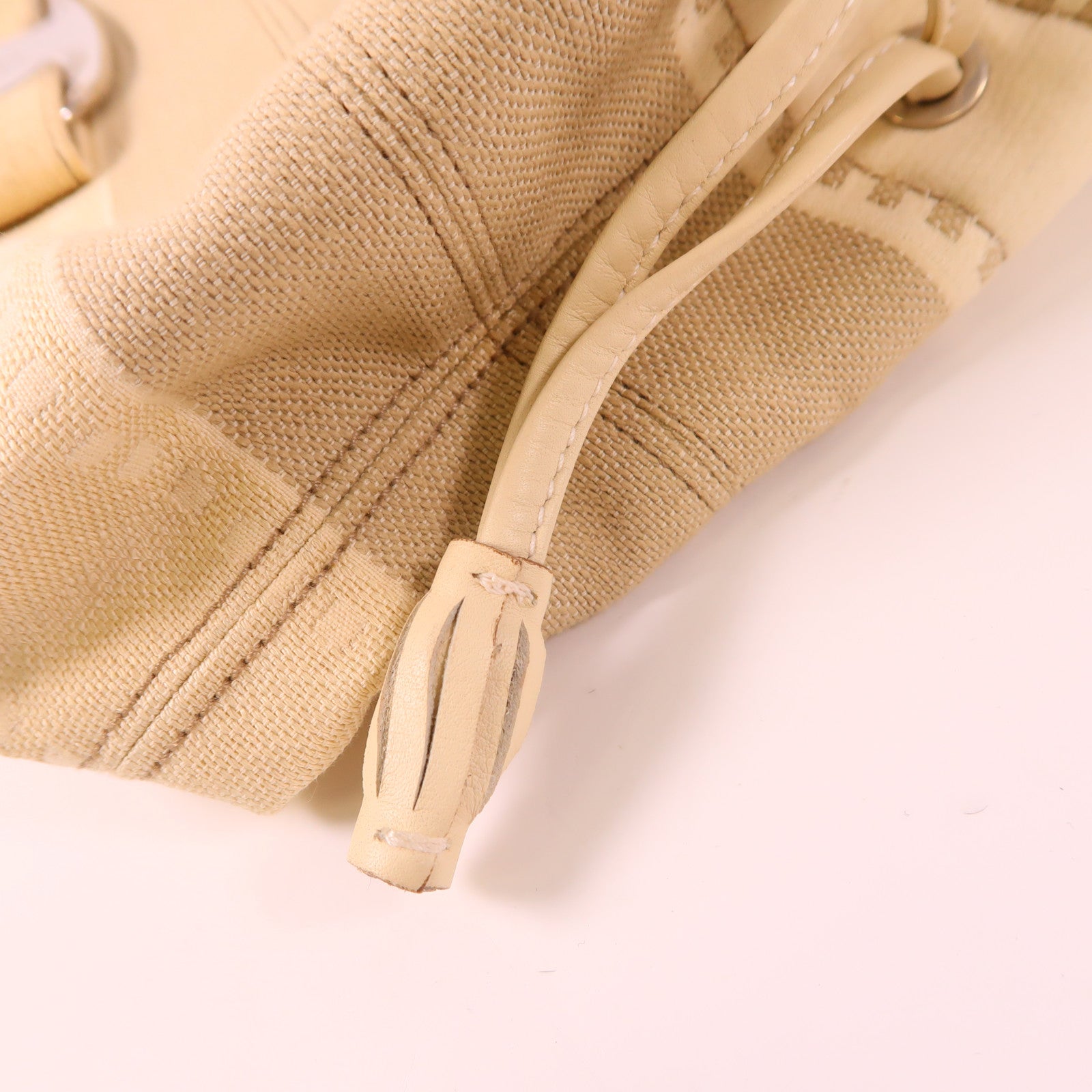 Salvatore Ferragamo 帆布Vara Ribbon Handbag銀扣手挽袋