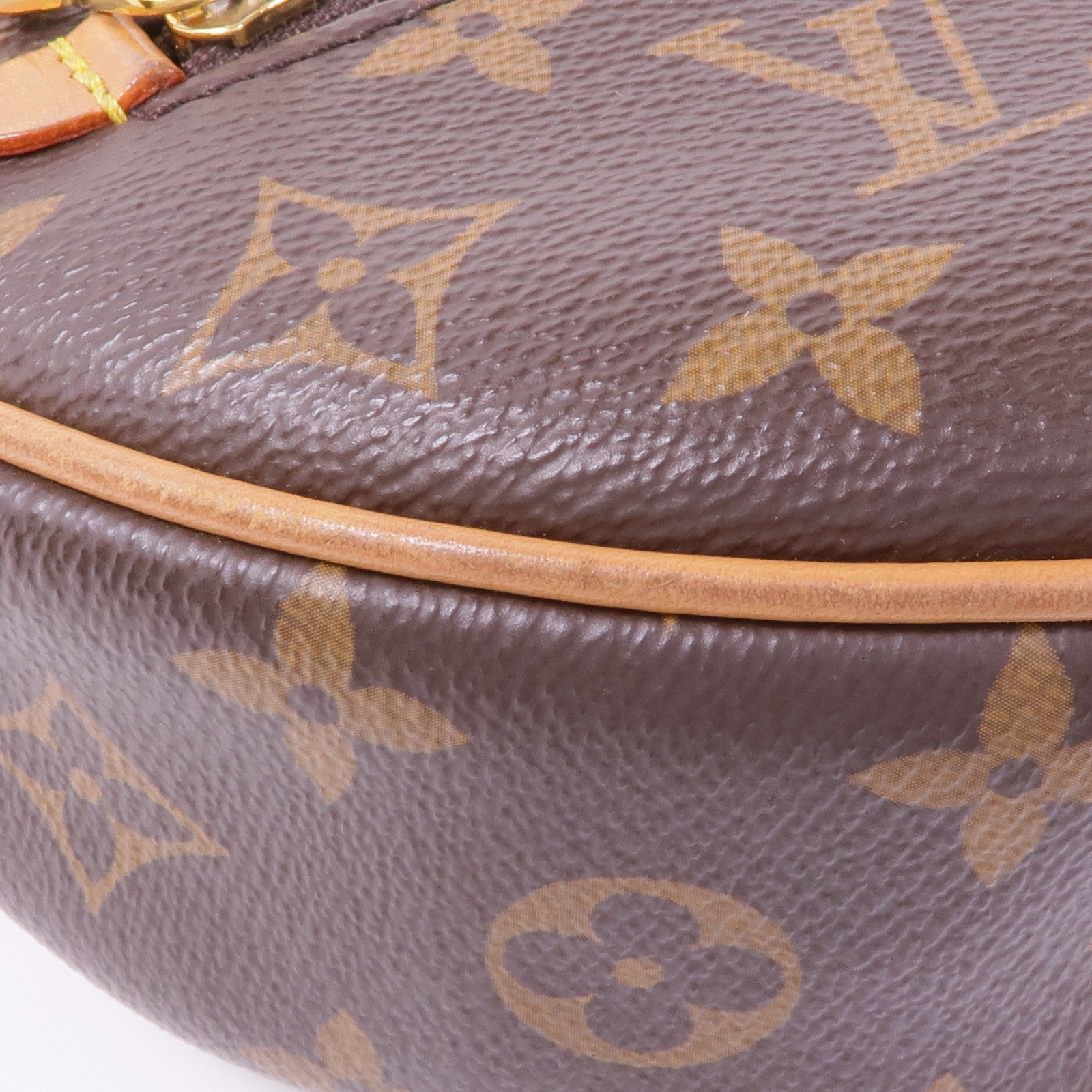 LOUIS VUITTON Monogram Loop金扣肩背袋棕色
