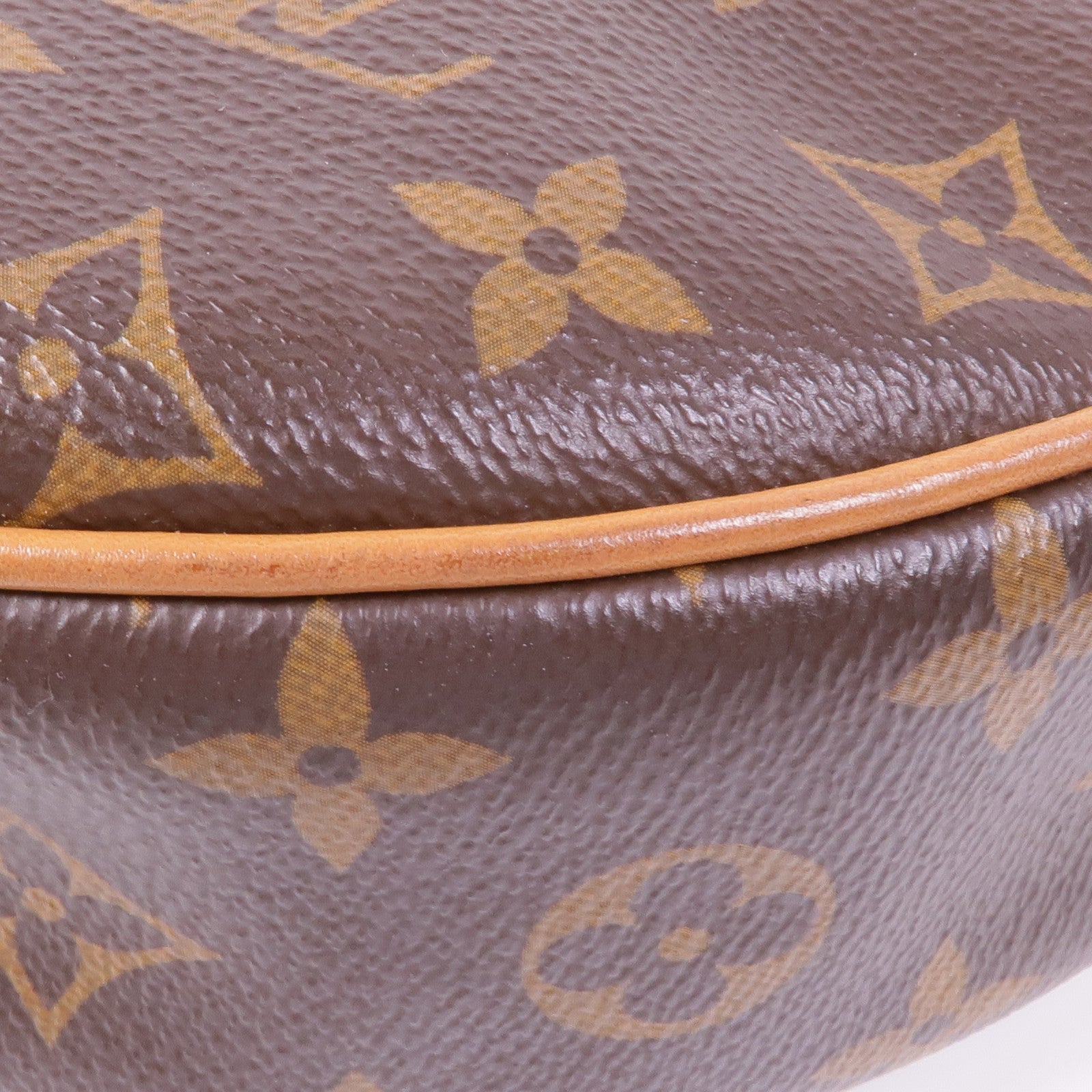 LOUIS VUITTON Monogram Loop金扣肩背袋棕色