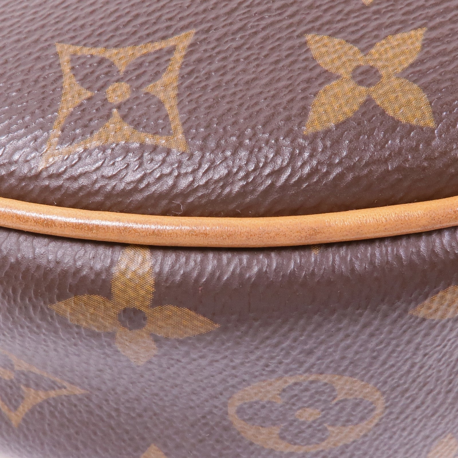 LOUIS VUITTON Monogram Loop金扣肩背袋棕色