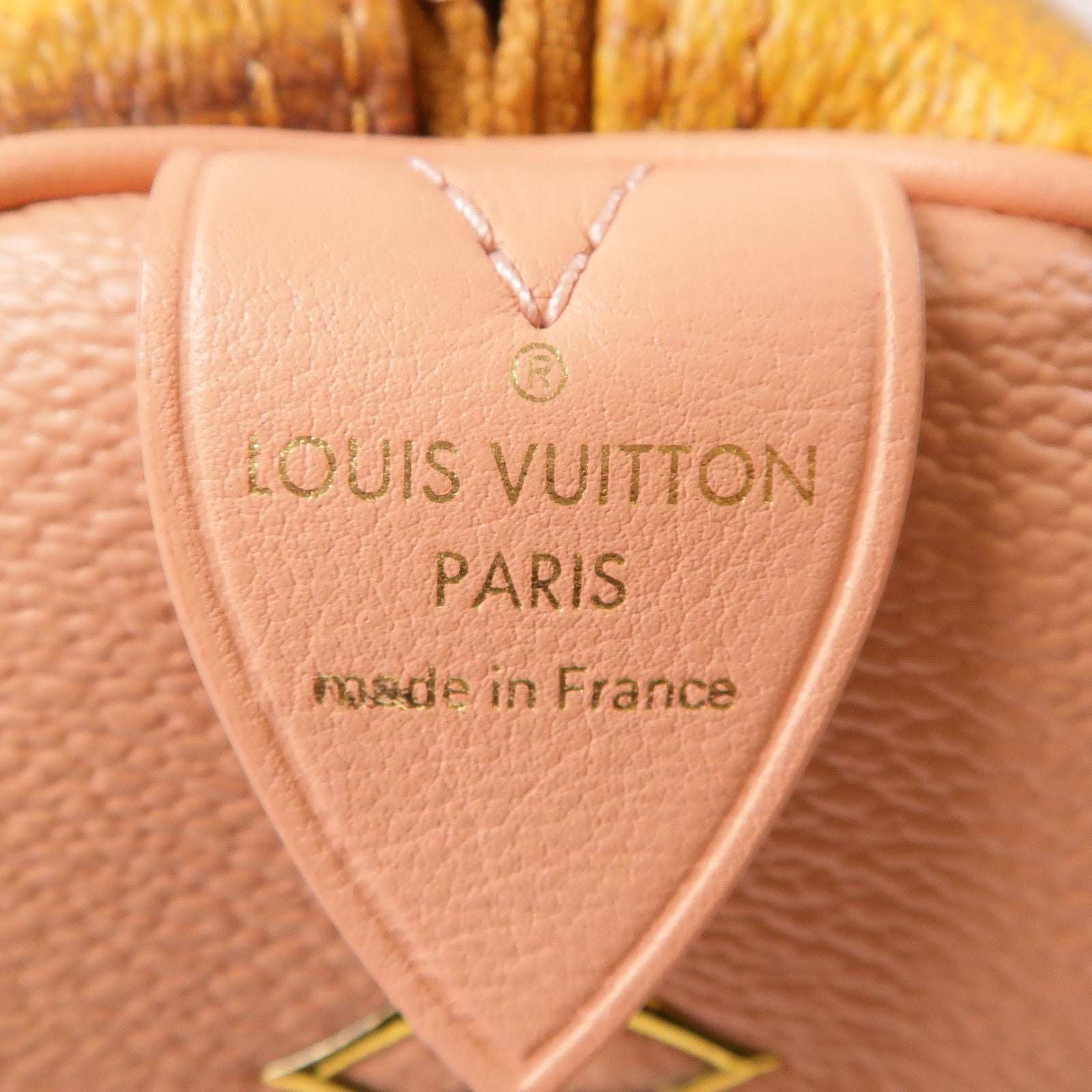 LOUIS VUITTON LV GHW Fragonard Speedy 30 Handbag M43307 Calfskin/Coated Canvas