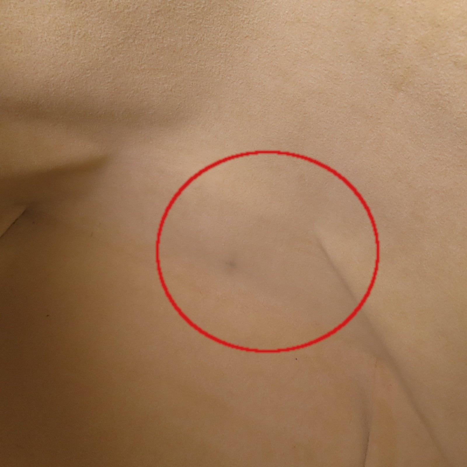 LOUIS VUITTON Damier Azur Saleya PM金扣手挽袋