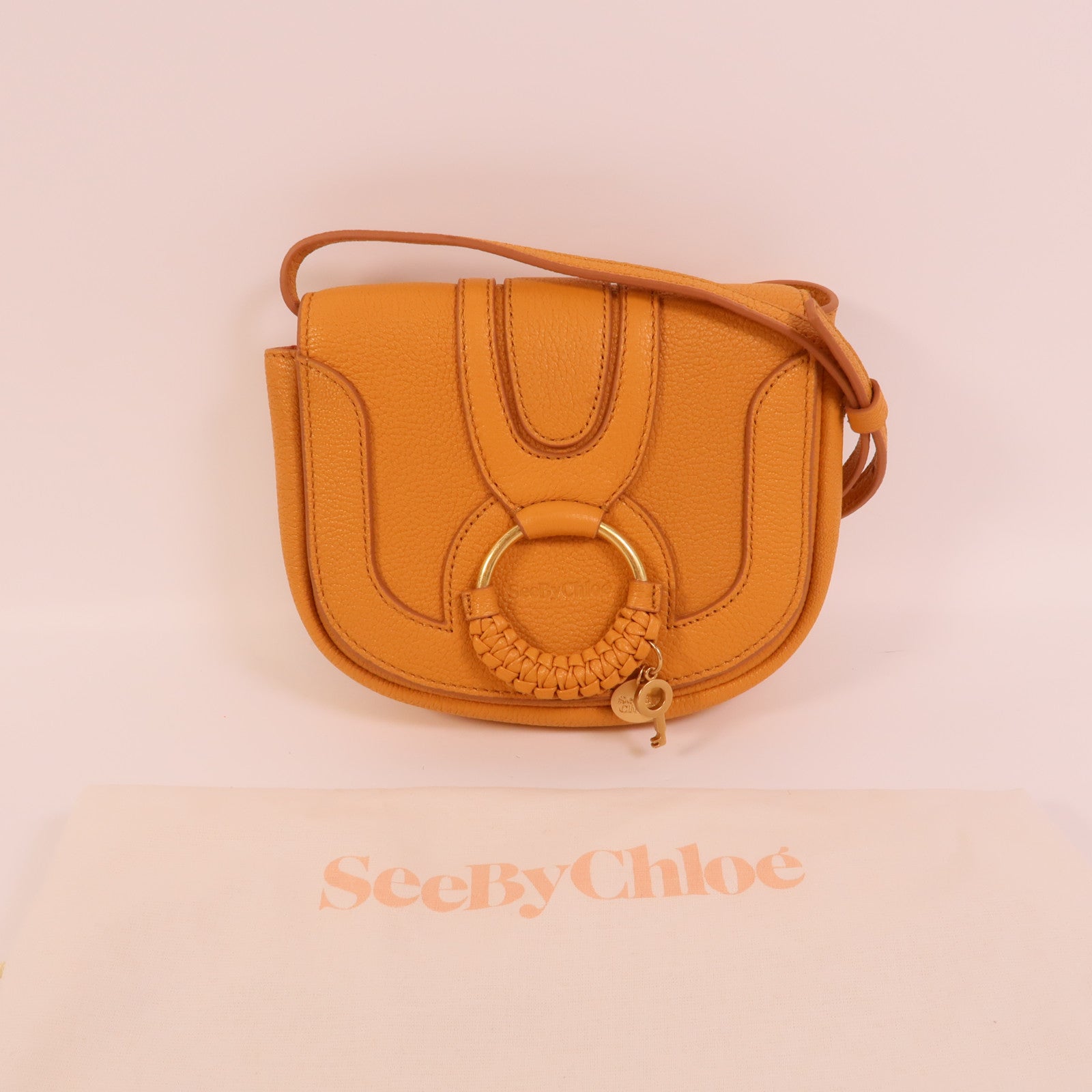 Chloe 牛皮皮革Hana Mini Bag肩背袋