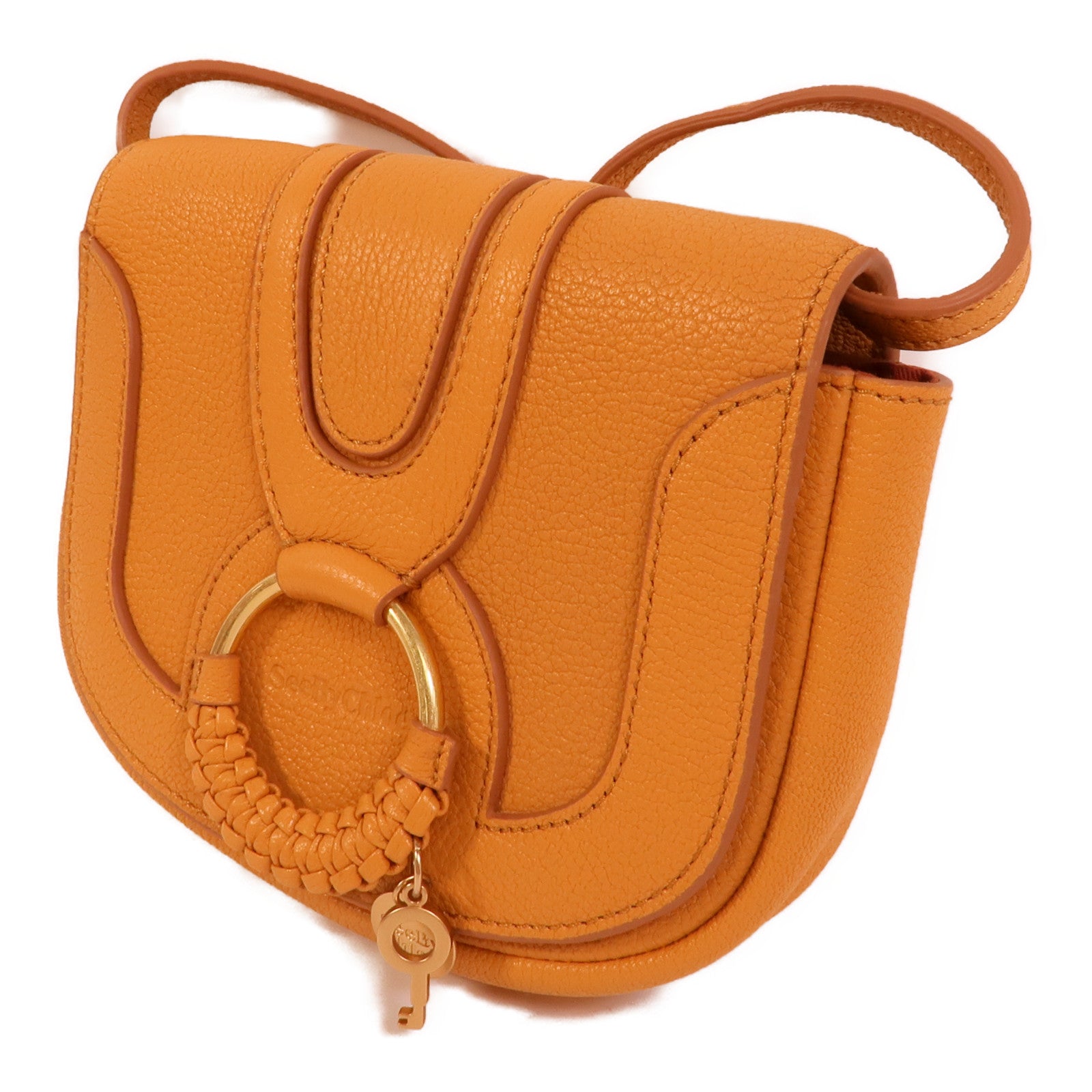 Chloe 牛皮皮革Hana Mini Bag肩背袋