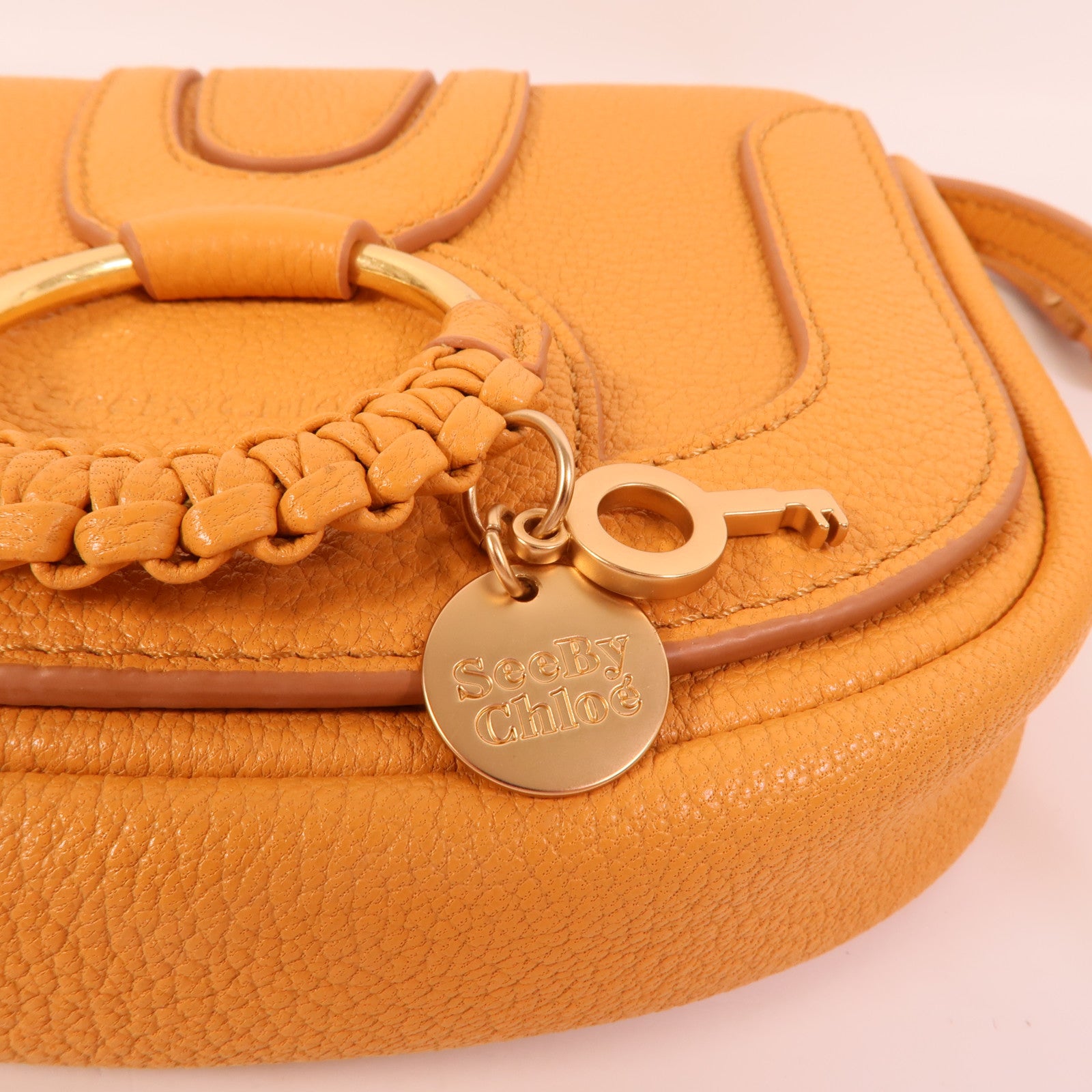 Chloe 牛皮皮革Hana Mini Bag肩背袋