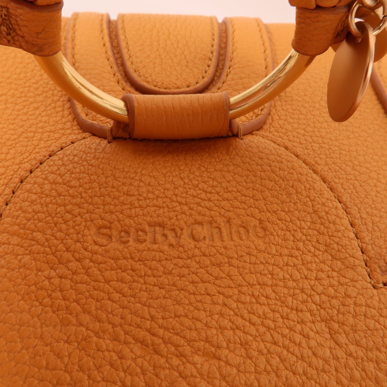 Chloe 牛皮皮革Hana Mini Bag肩背袋