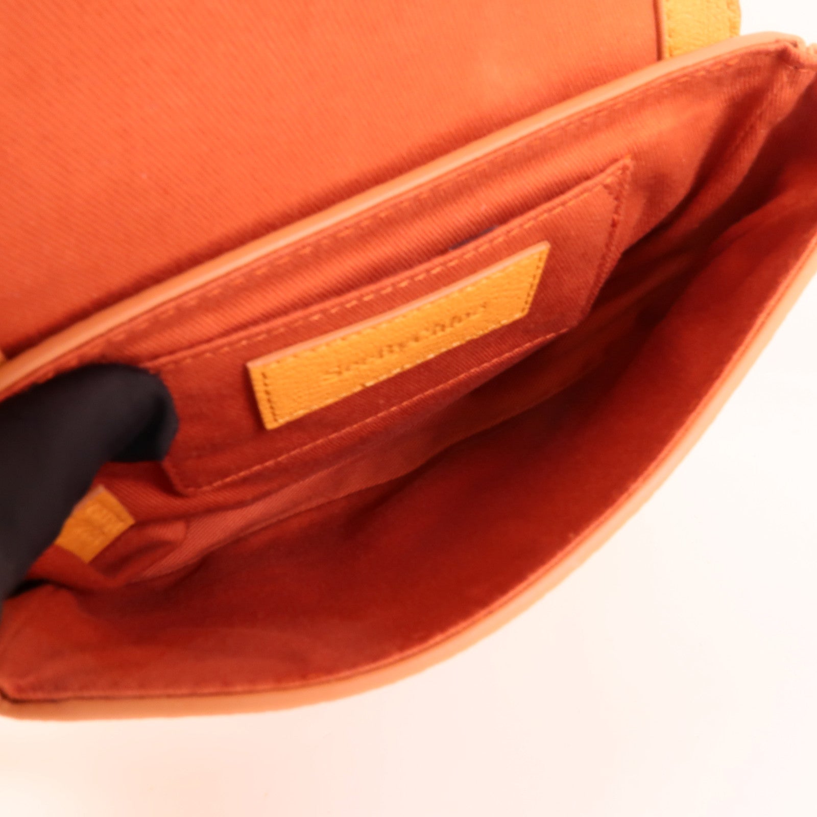 Chloe 牛皮皮革Hana Mini Bag肩背袋