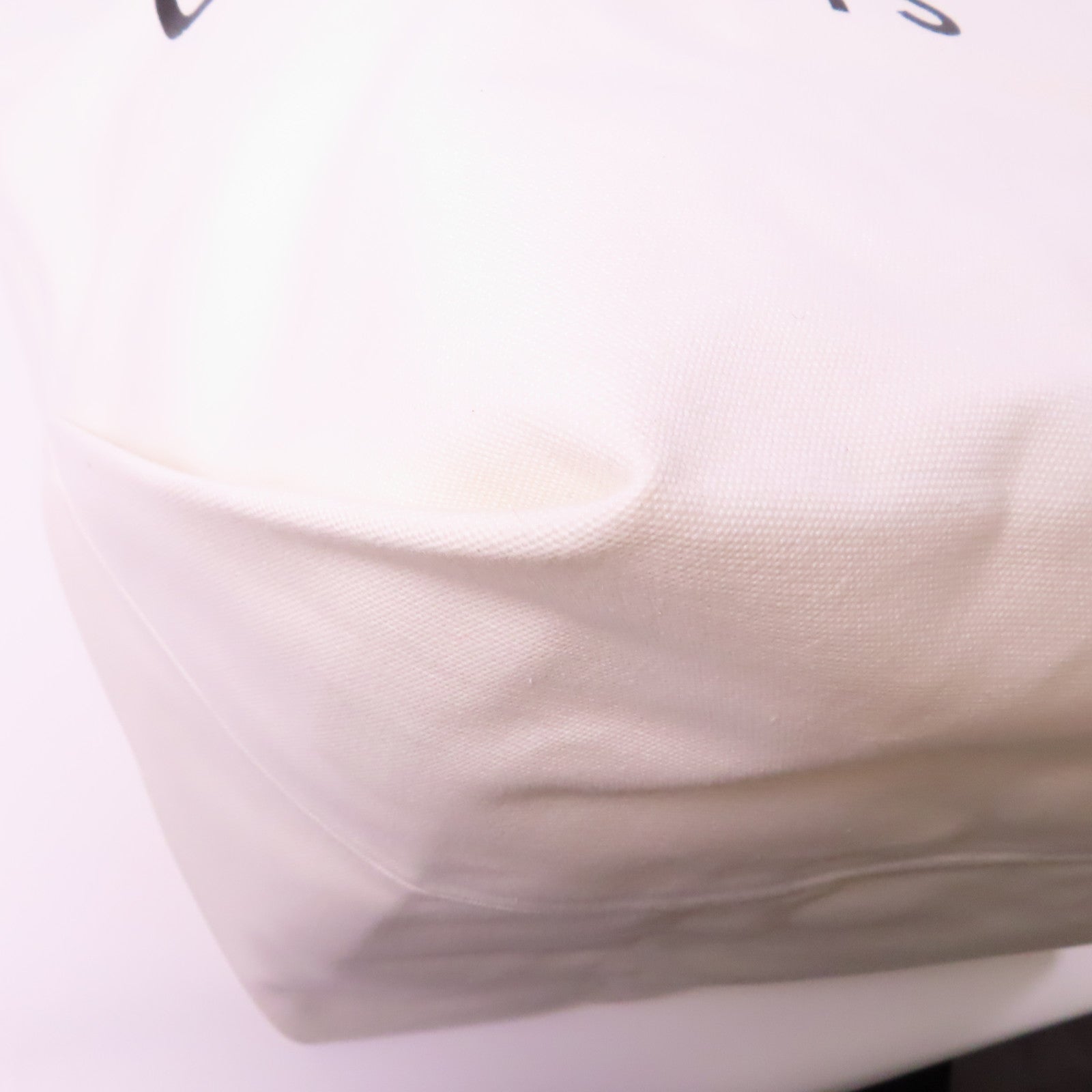 CELINE 帆布Large Tote銀扣肩背袋白色/黑色