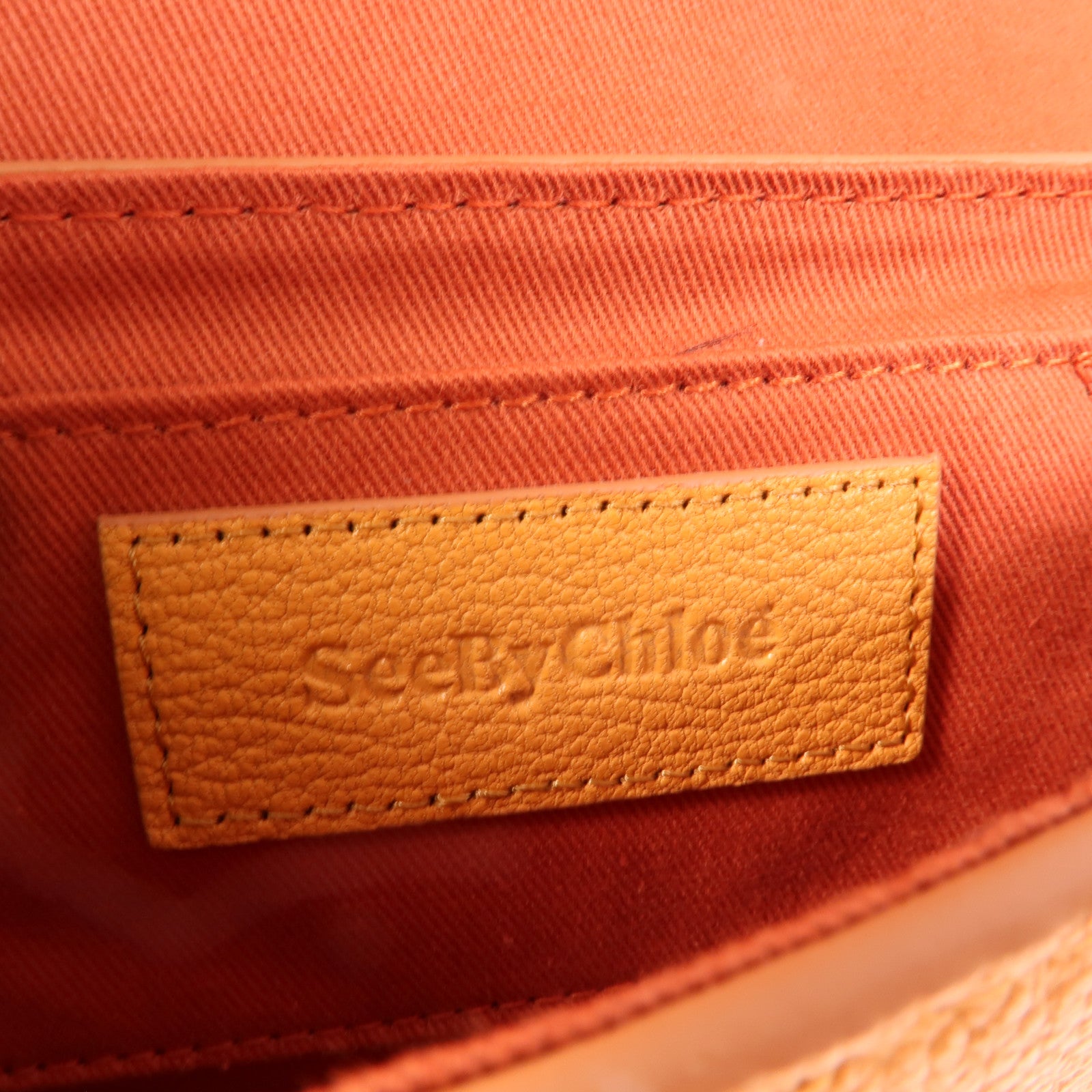 Chloe 牛皮皮革Hana Mini Bag肩背袋