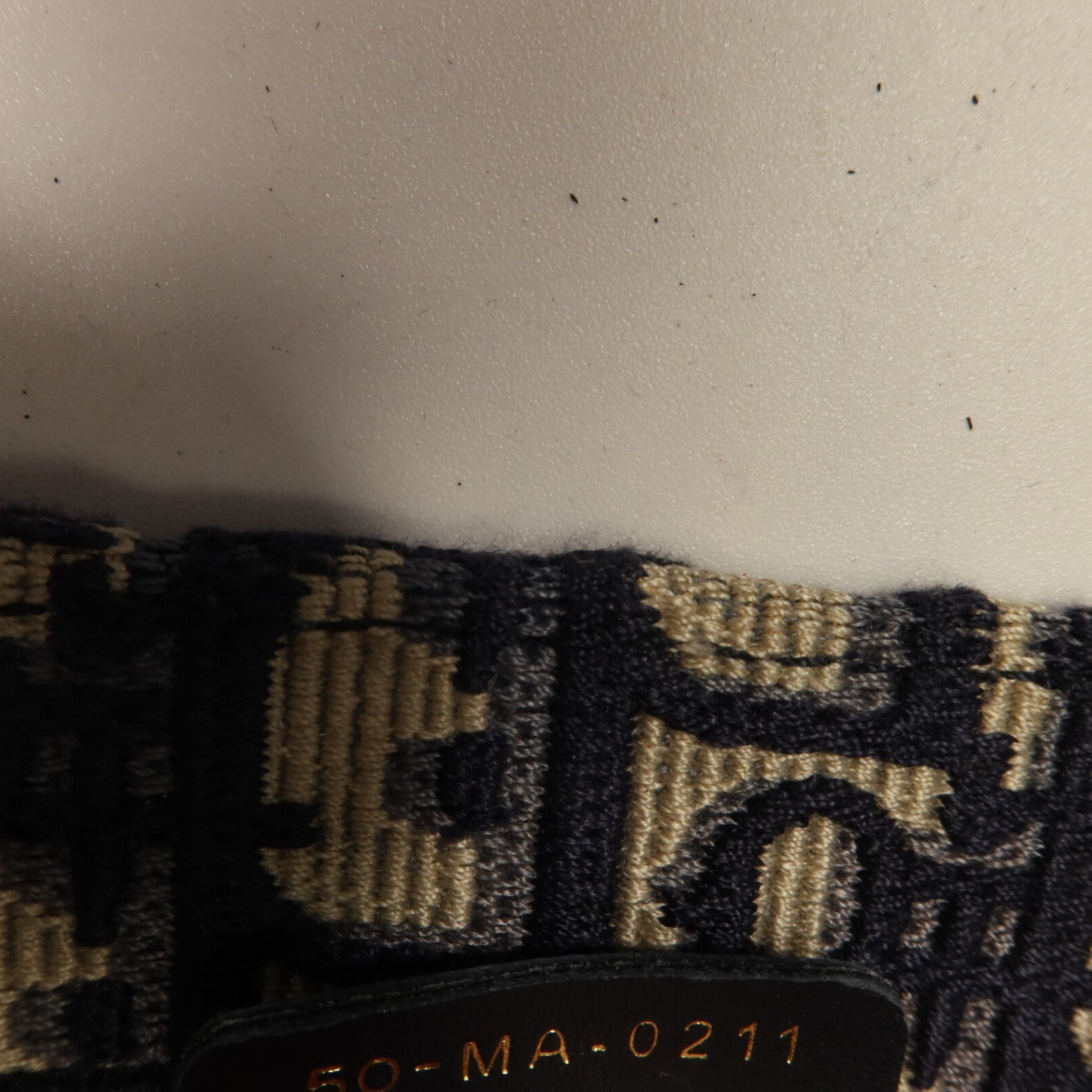 Dior 帆布Book Tote Medium手挽袋