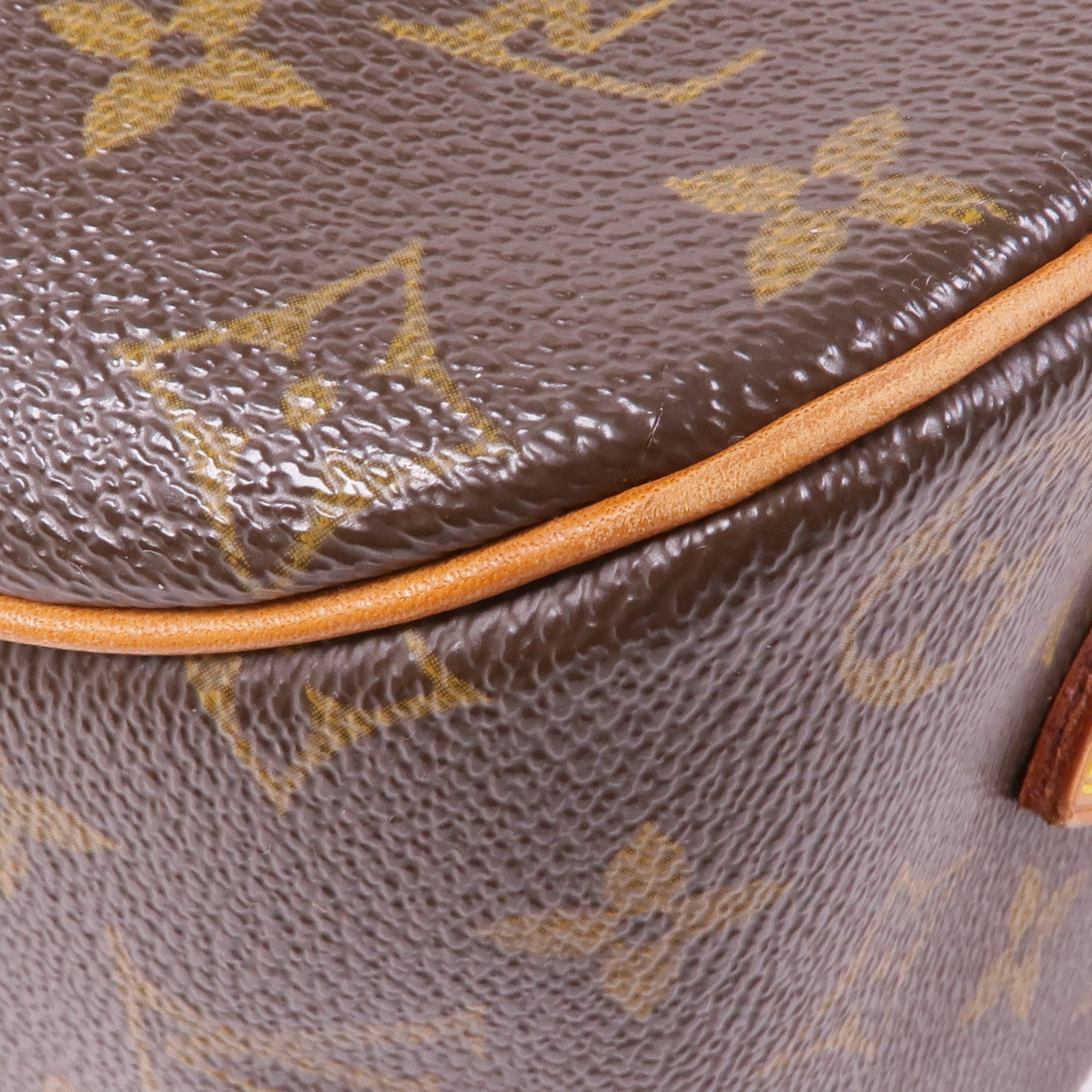 LOUIS VUITTON Monogram Blois金扣肩背袋棕色