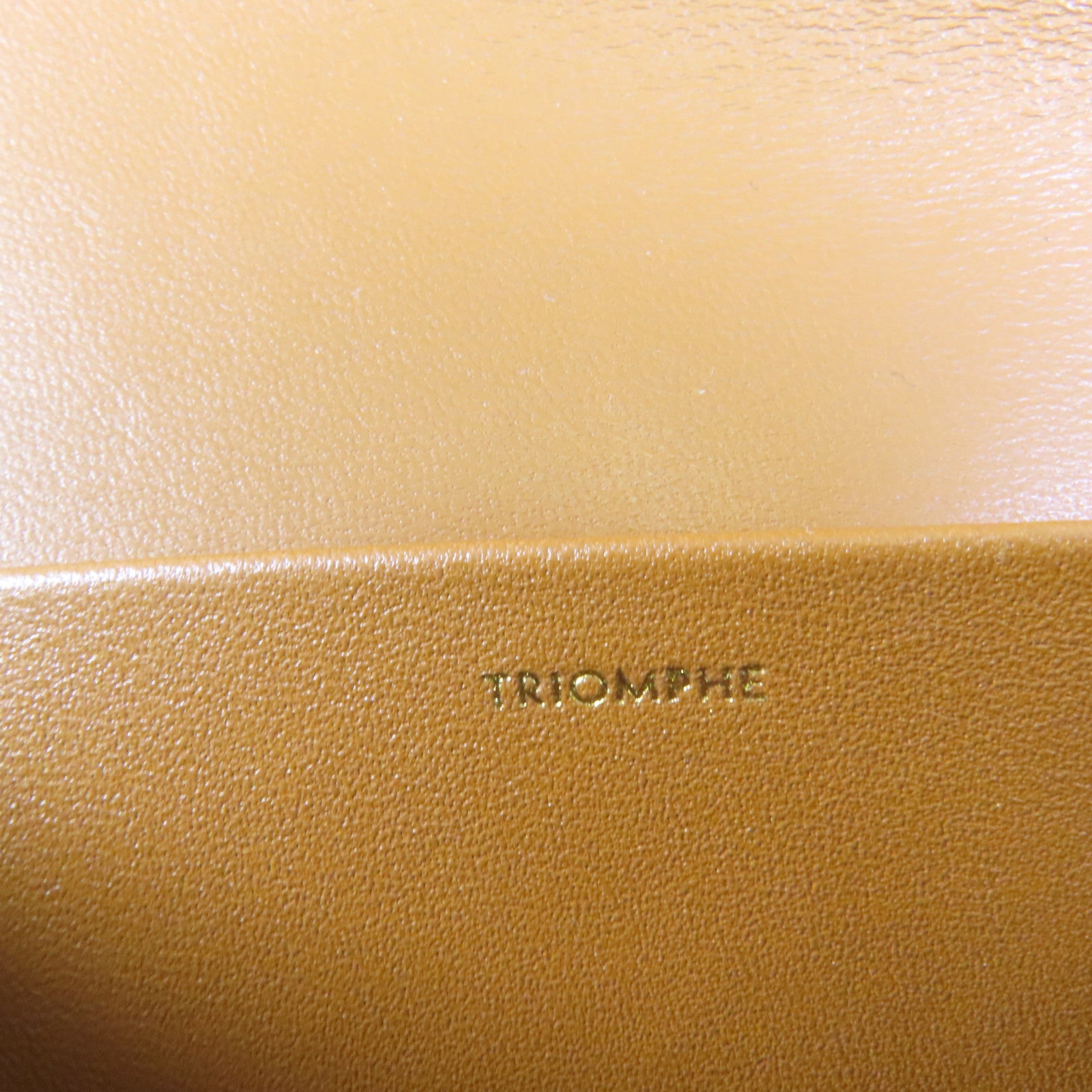 CELINE 塗層帆布/牛皮皮革Classique Triomphe Bag金扣肩背袋