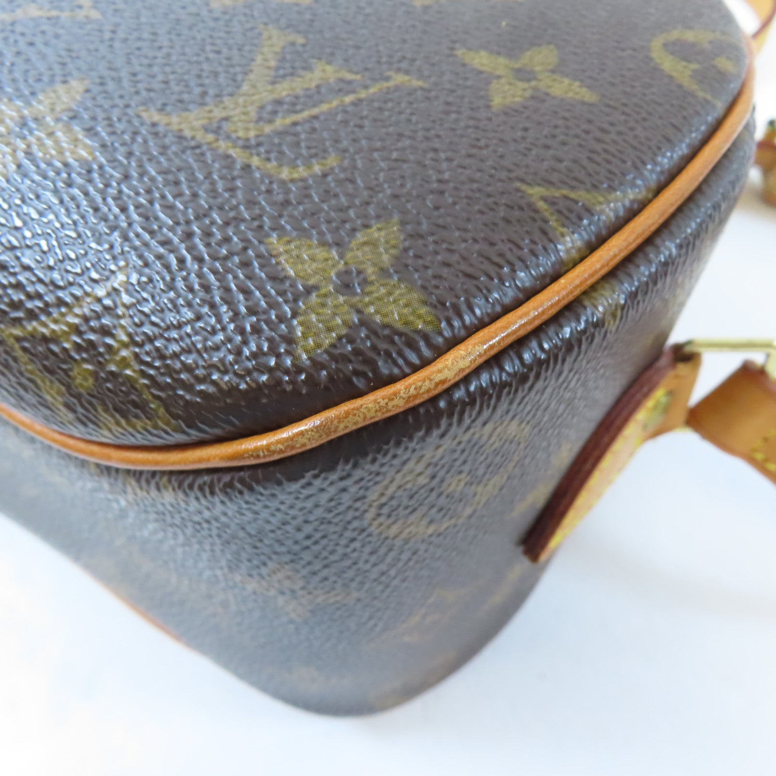 LOUIS VUITTON Monogram Blois金扣肩背袋啡色
