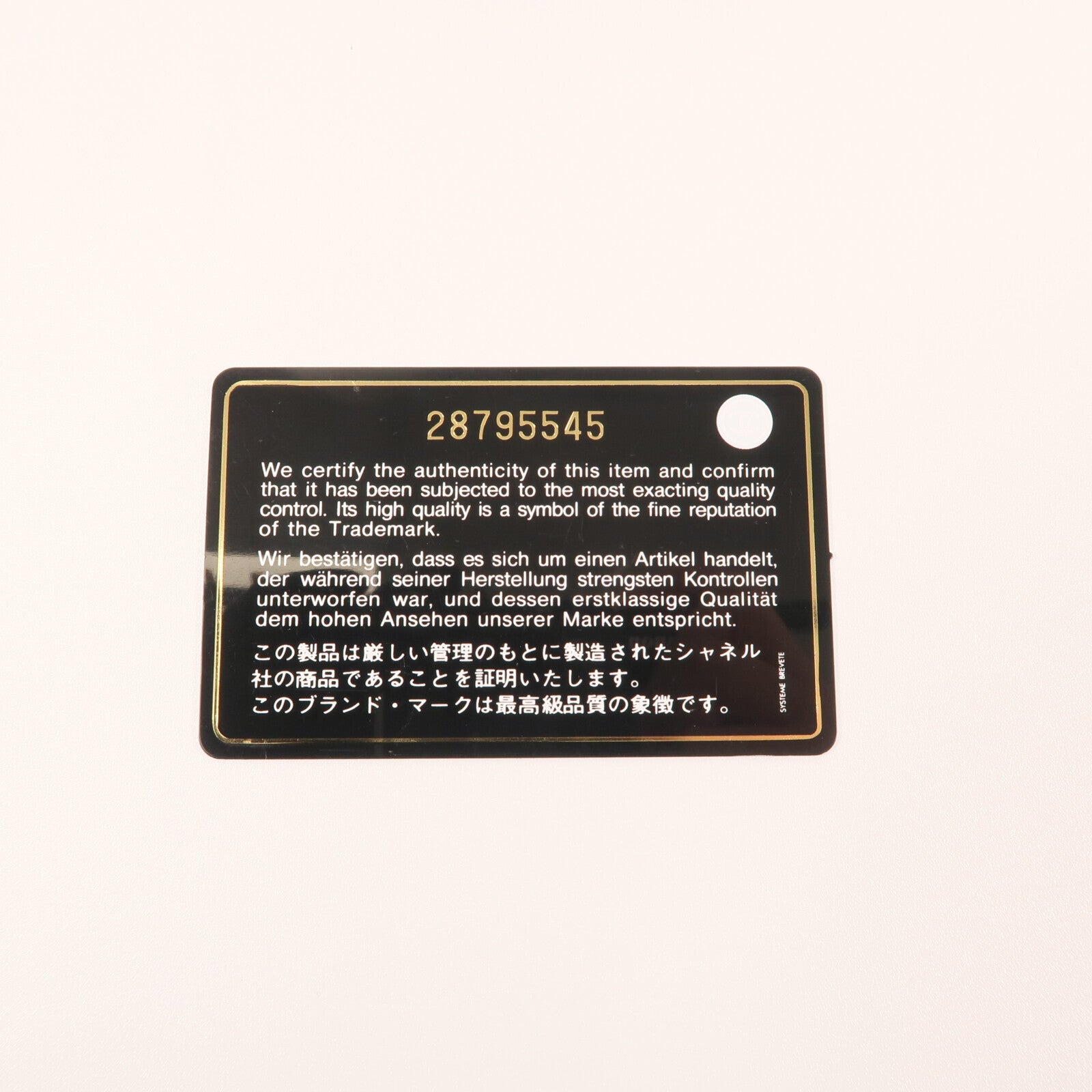 CHANEL WOC Wallet On Chain銀扣鏈帶肩背袋
