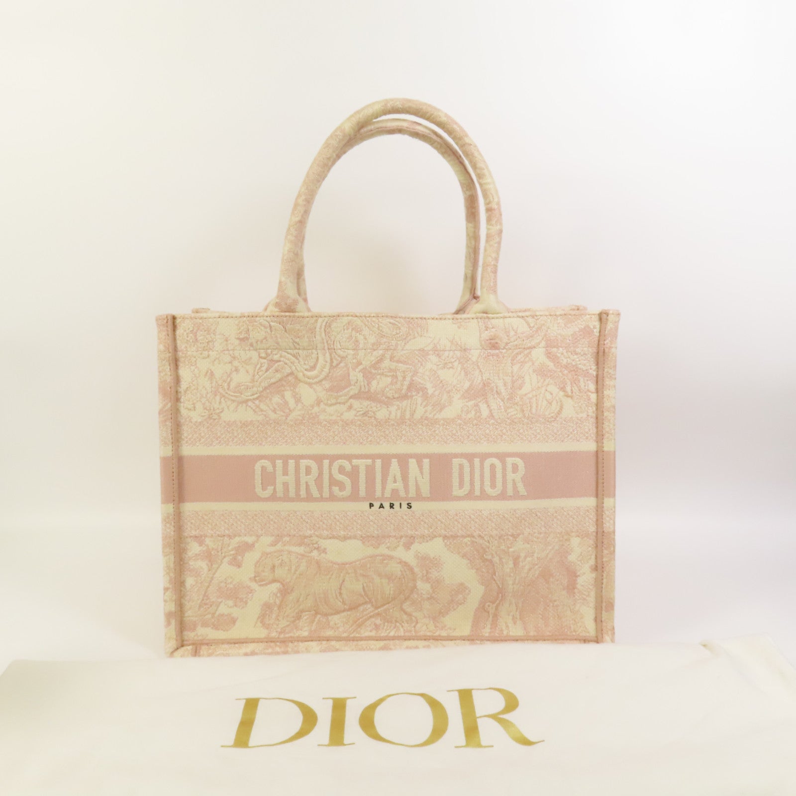 Dior 帆布Book Tote Medium手挽袋