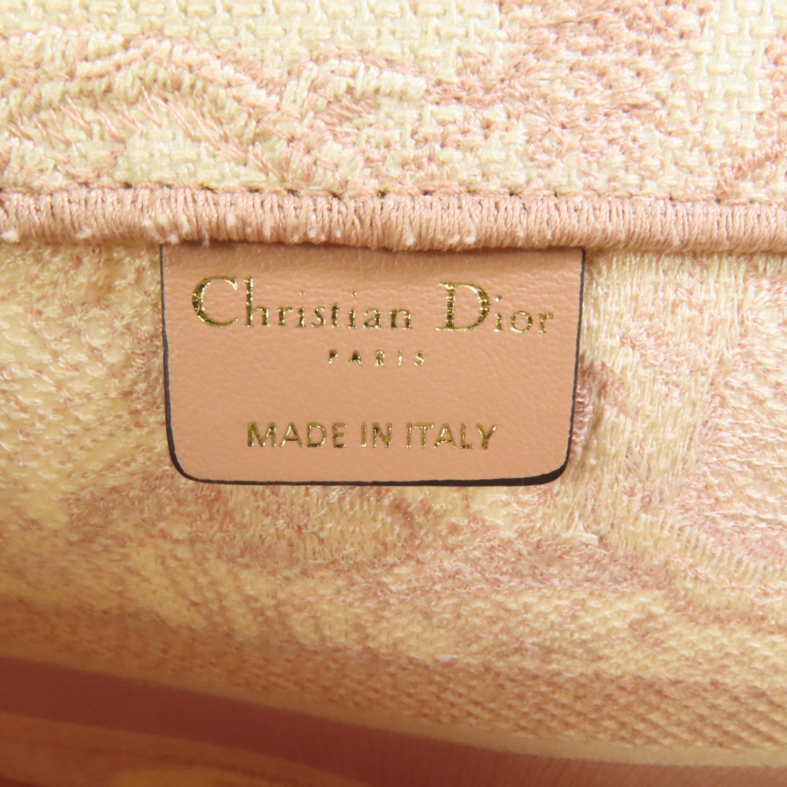 Dior 帆布Book Tote Medium手挽袋