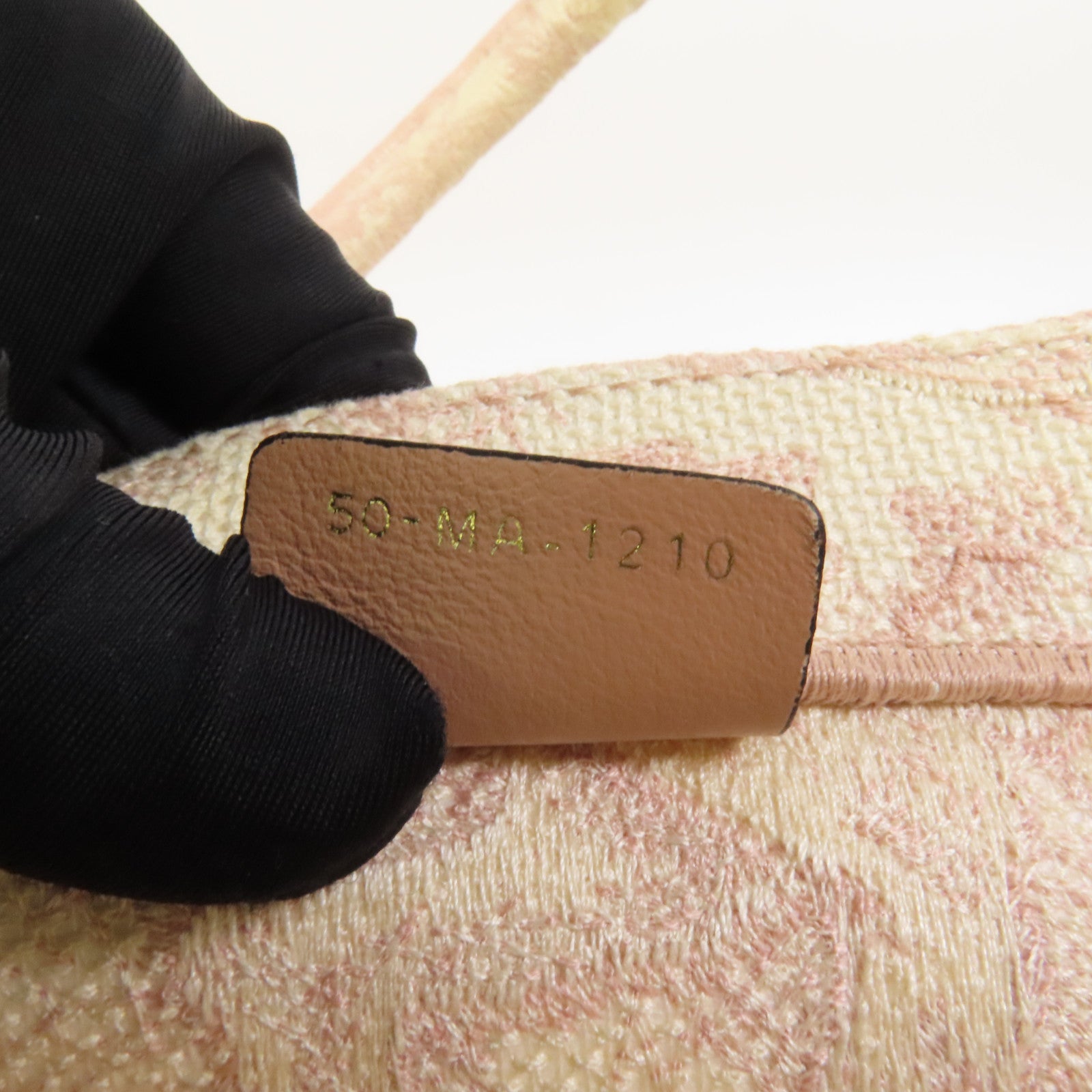 Dior 帆布Book Tote Medium手挽袋