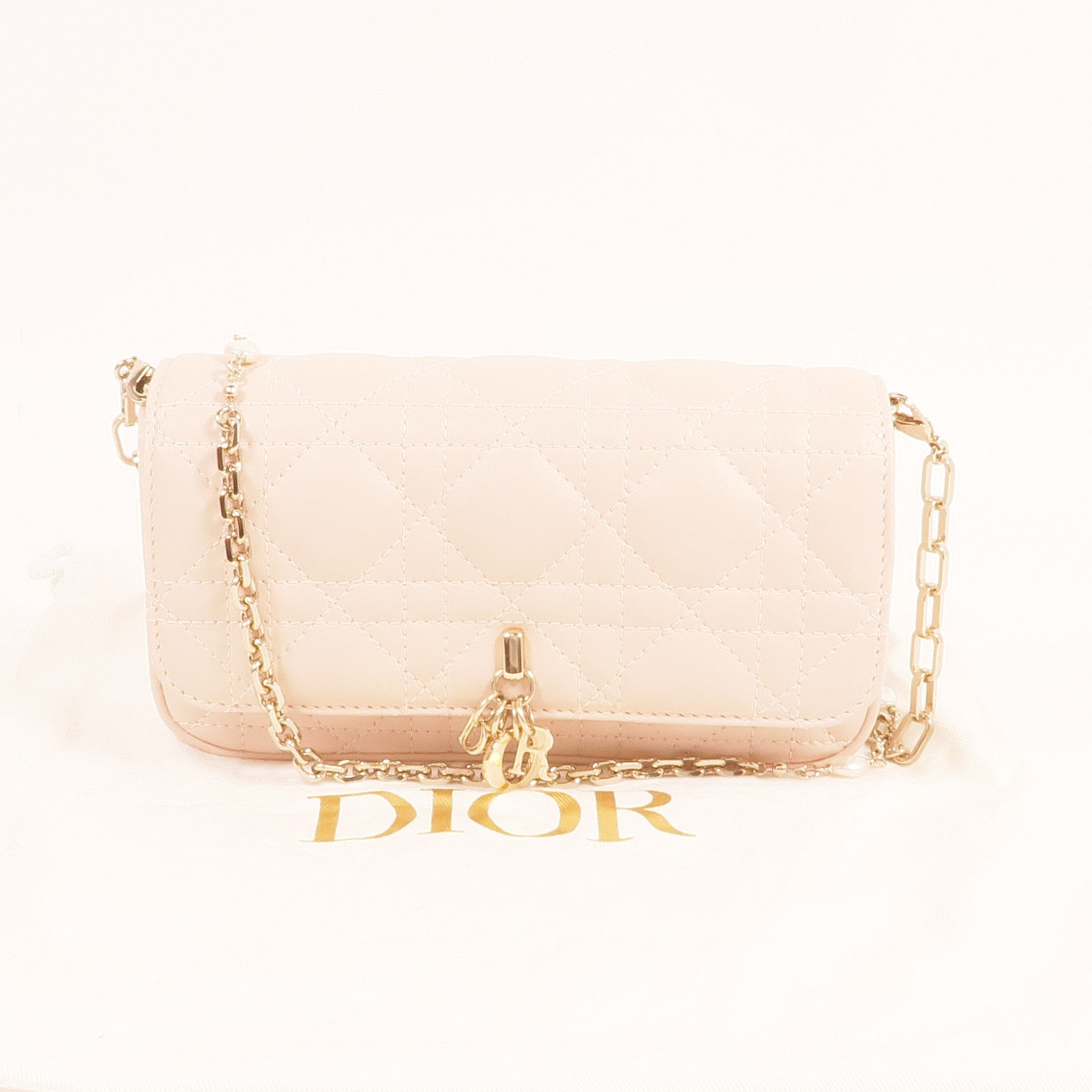 Dior 羊皮皮革Chain Shoulder金扣鏈帶肩背袋