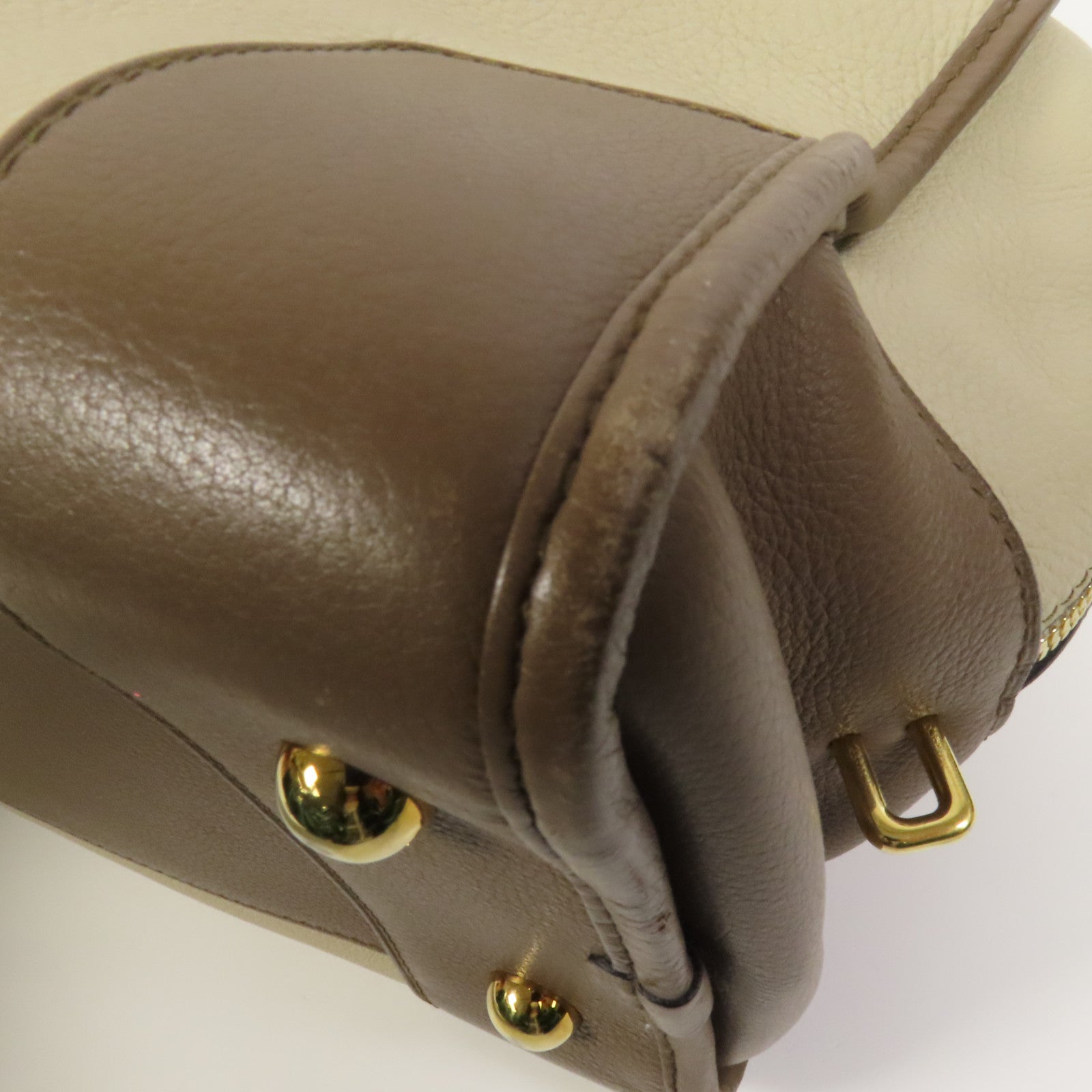 LOEWE 牛皮皮革Amazona 28金扣手挽袋