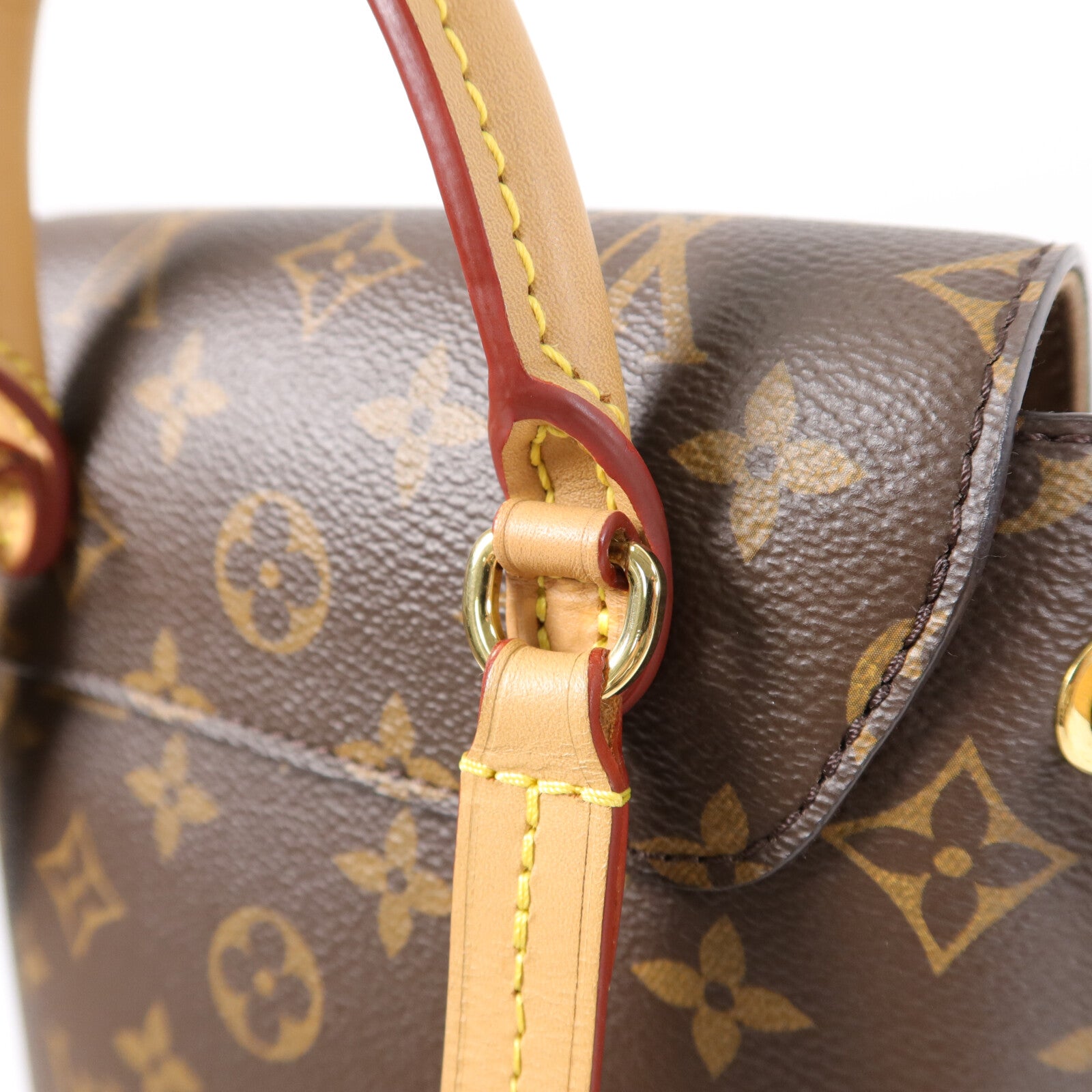 LOUIS VUITTON Monogram Montsouris背包