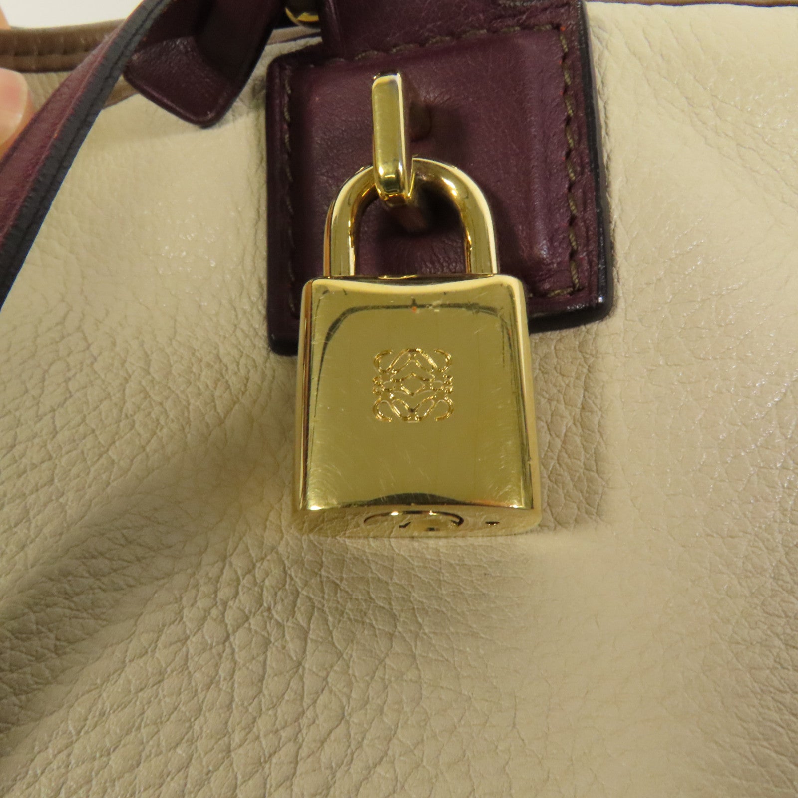 LOEWE 牛皮皮革Amazona 28金扣手挽袋