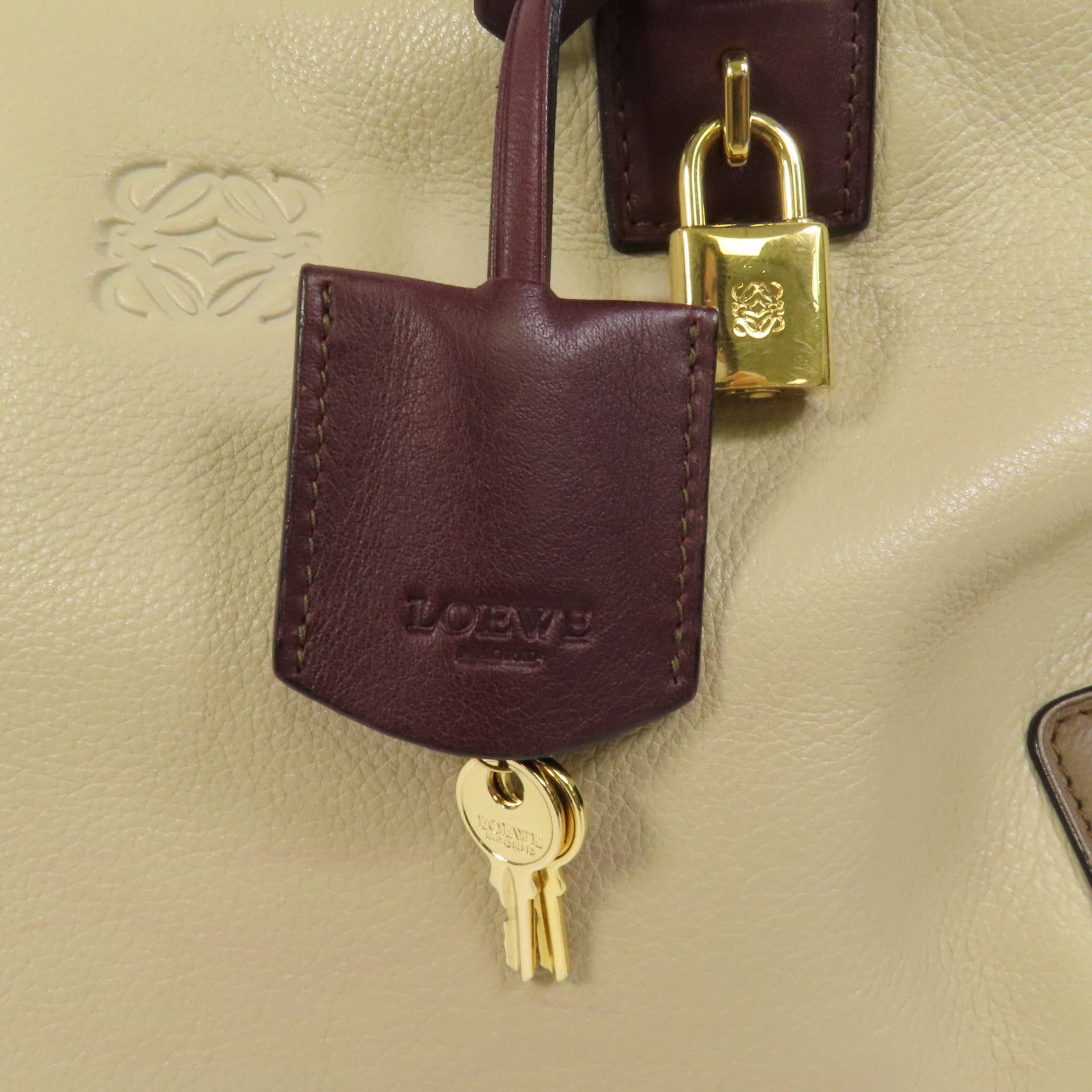 LOEWE 牛皮皮革Amazona 28金扣手挽袋